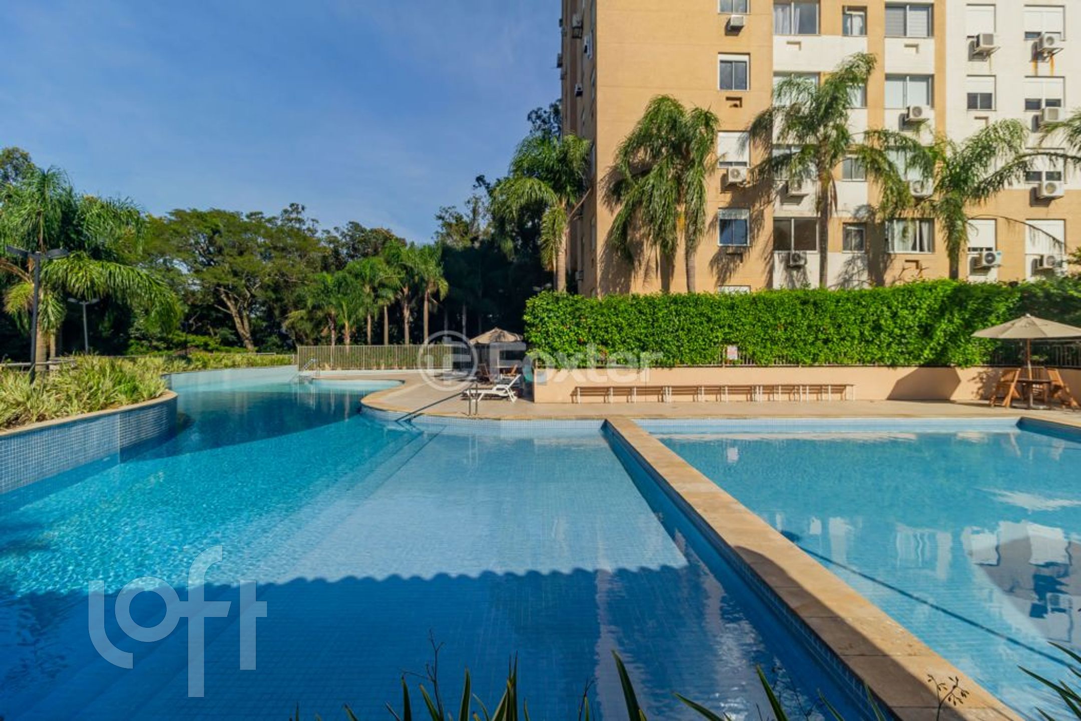 Imagem da propriedade 62