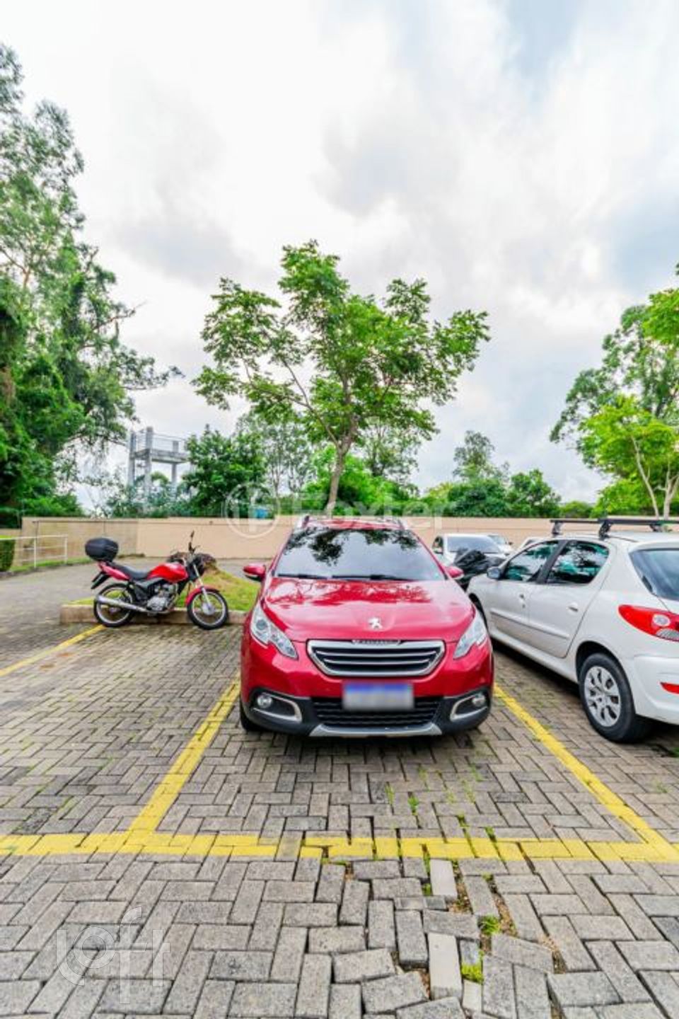 Imagem da propriedade 26