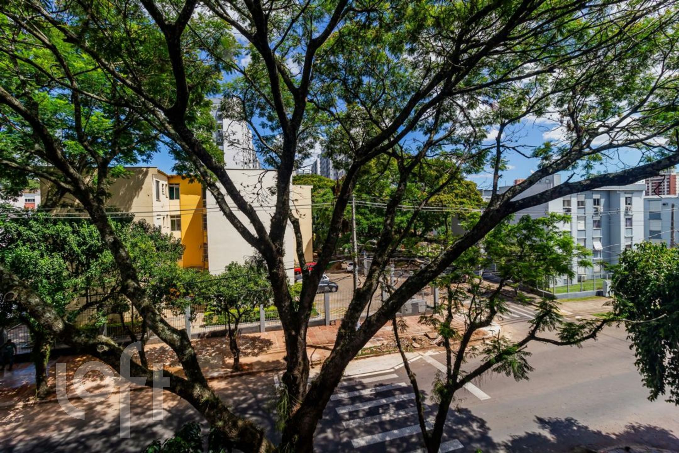 Imagem da propriedade 26