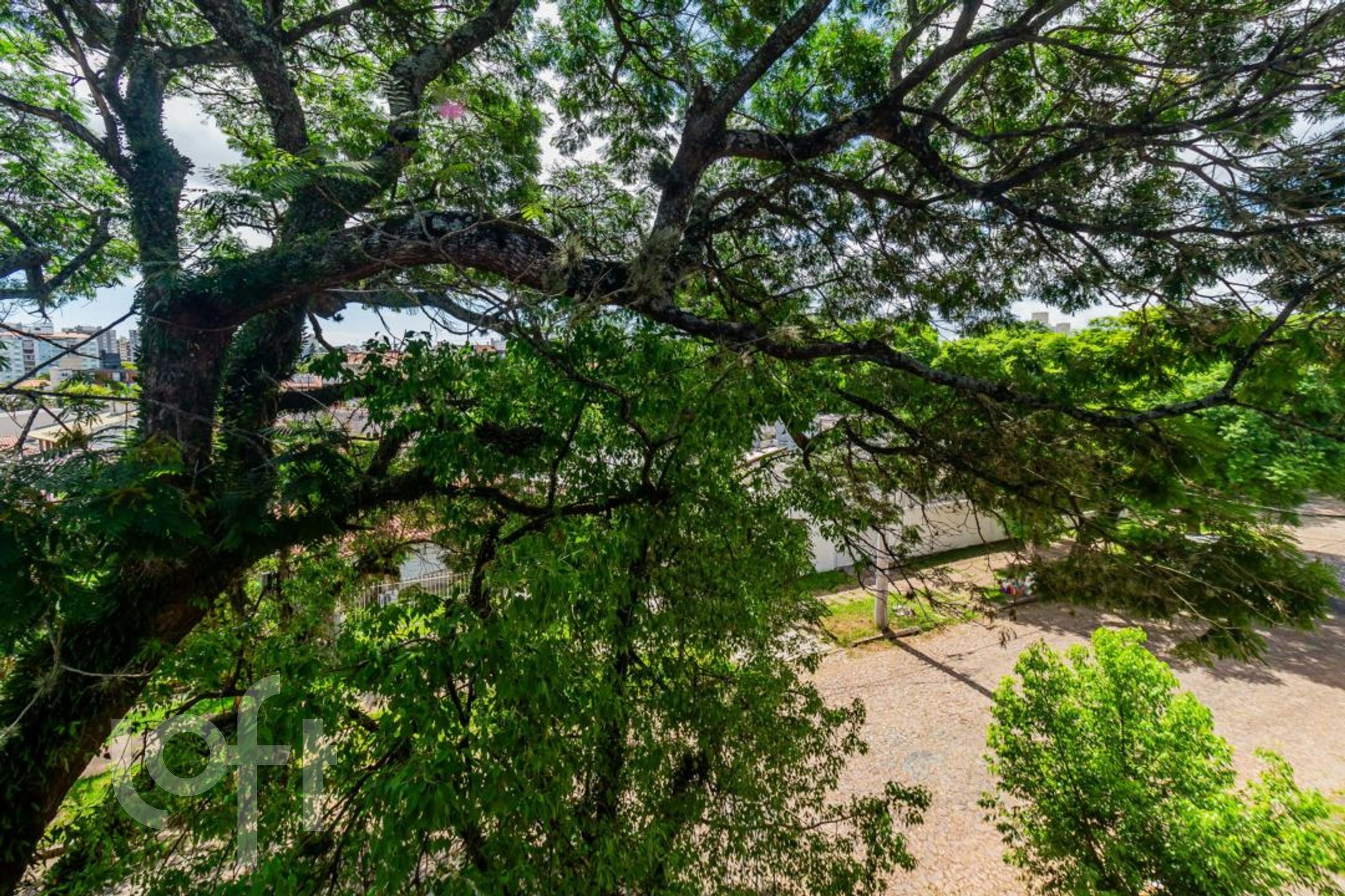 Imagem da propriedade 12