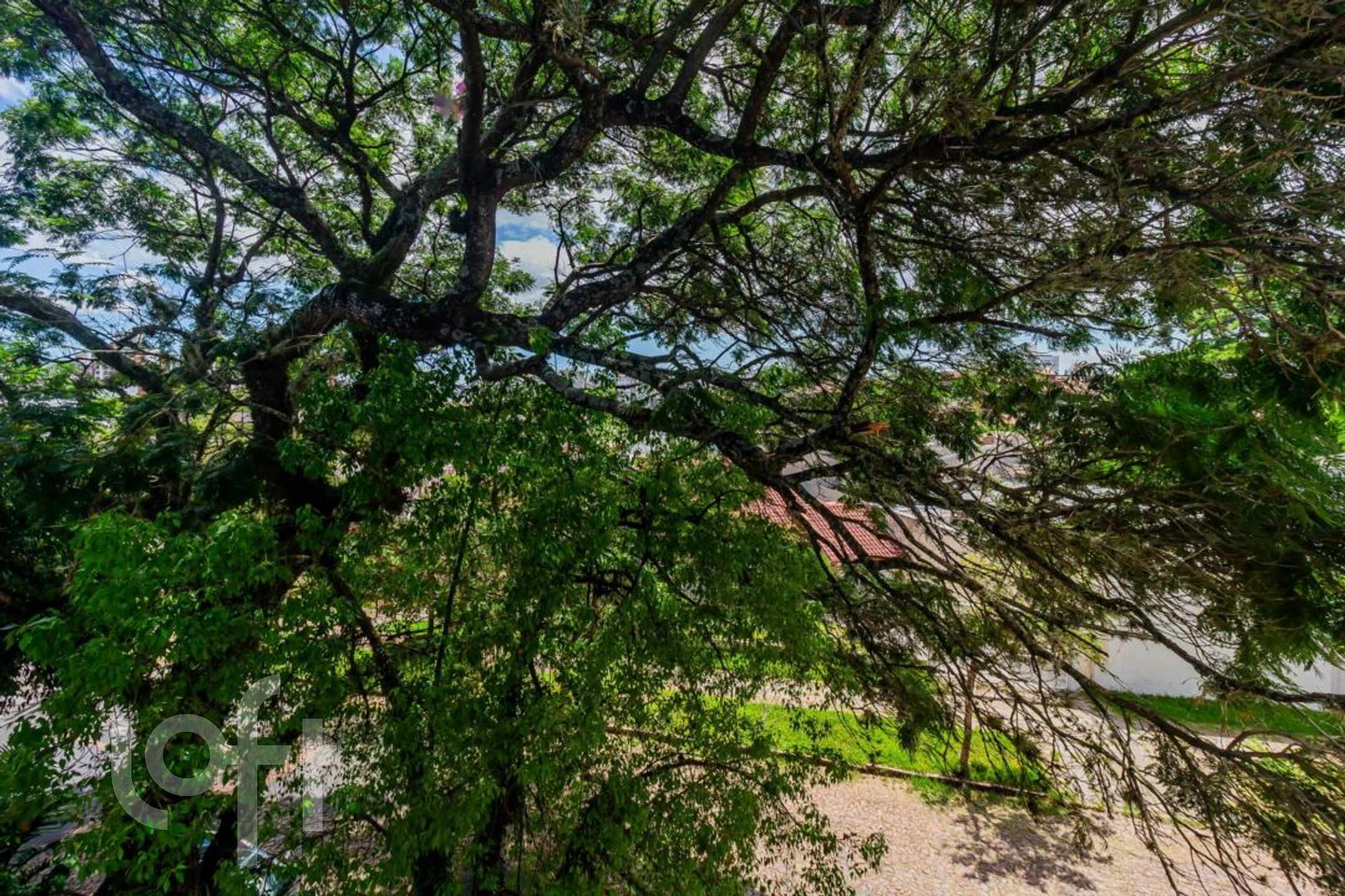 Imagem da propriedade 5