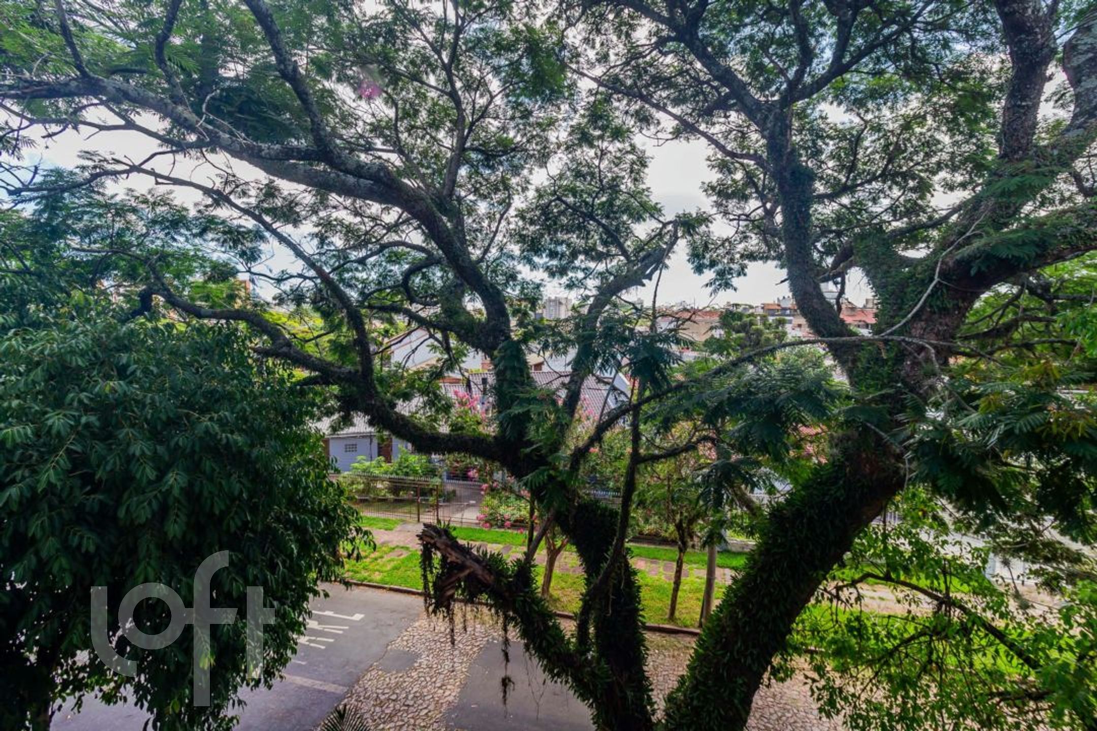 Imagem da propriedade 20