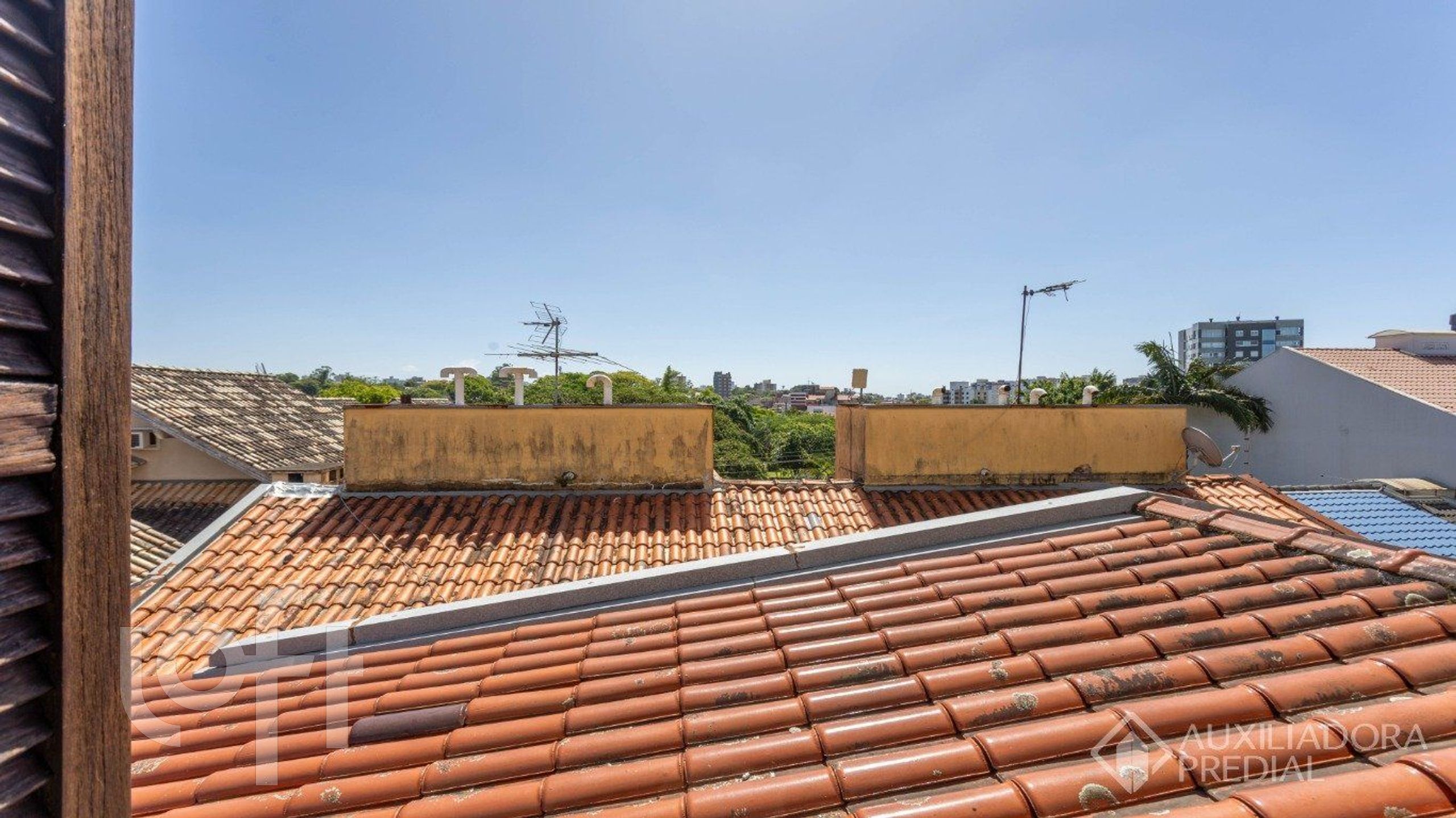 Imagem da propriedade 21