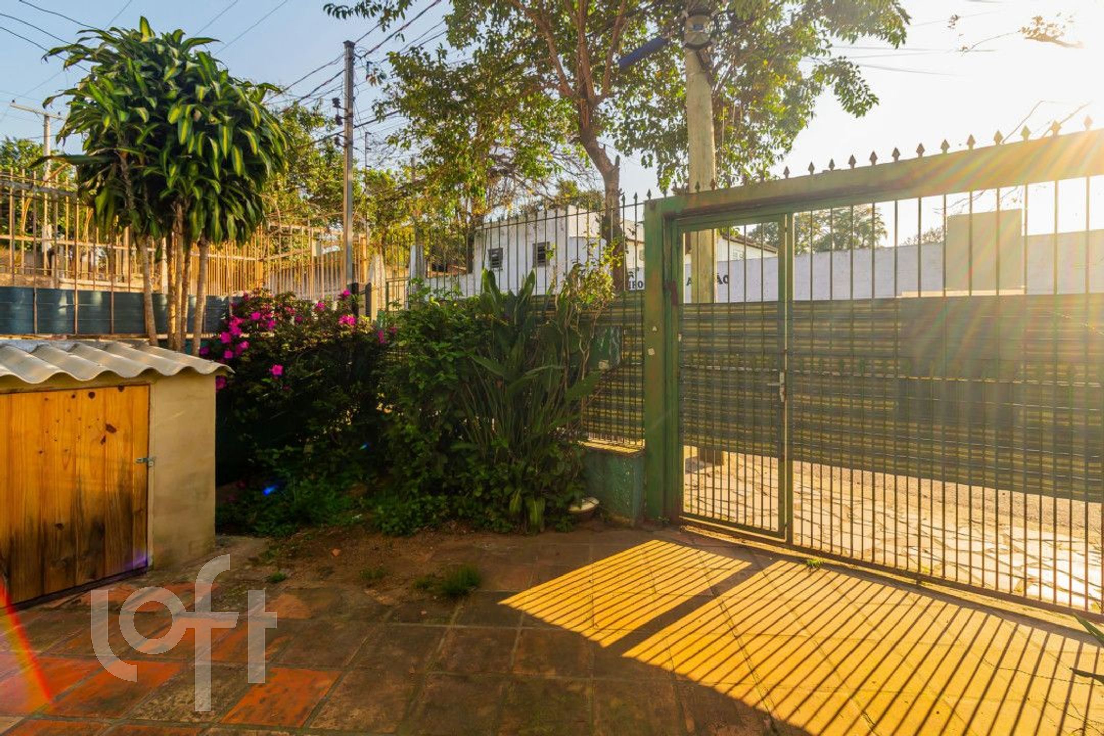 Imagem da propriedade 23