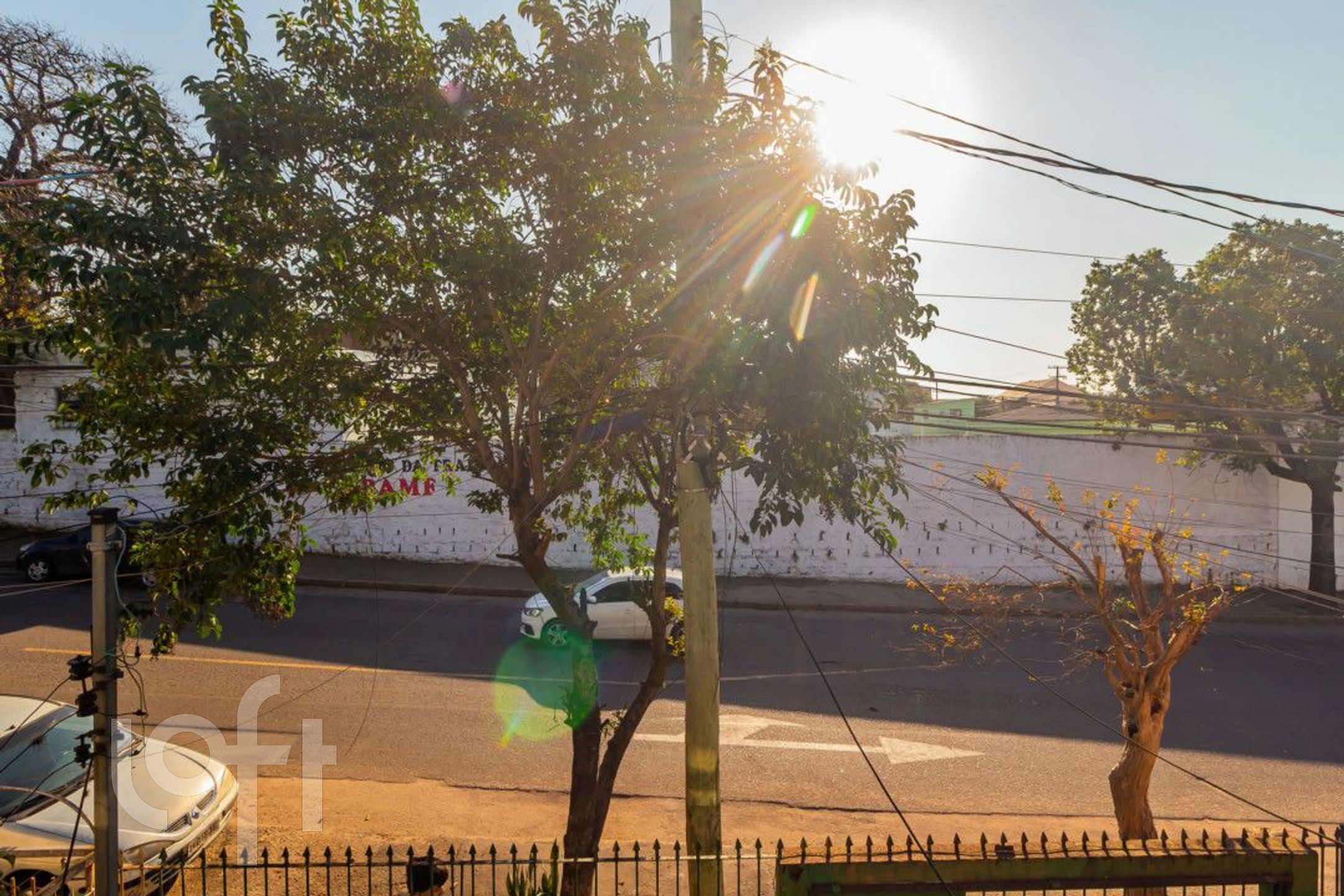 Imagem da propriedade 4