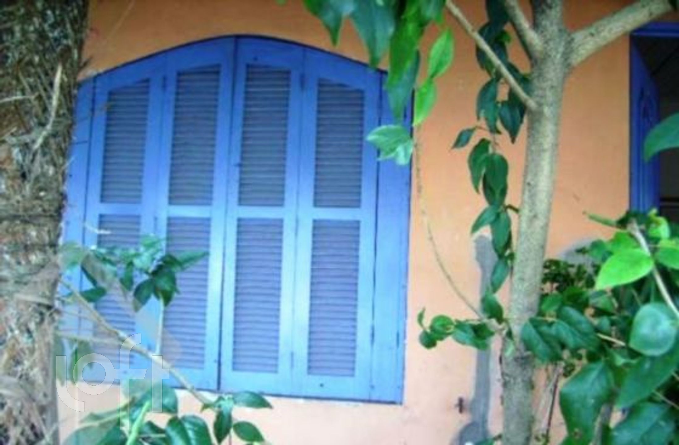 Imagem da propriedade 3