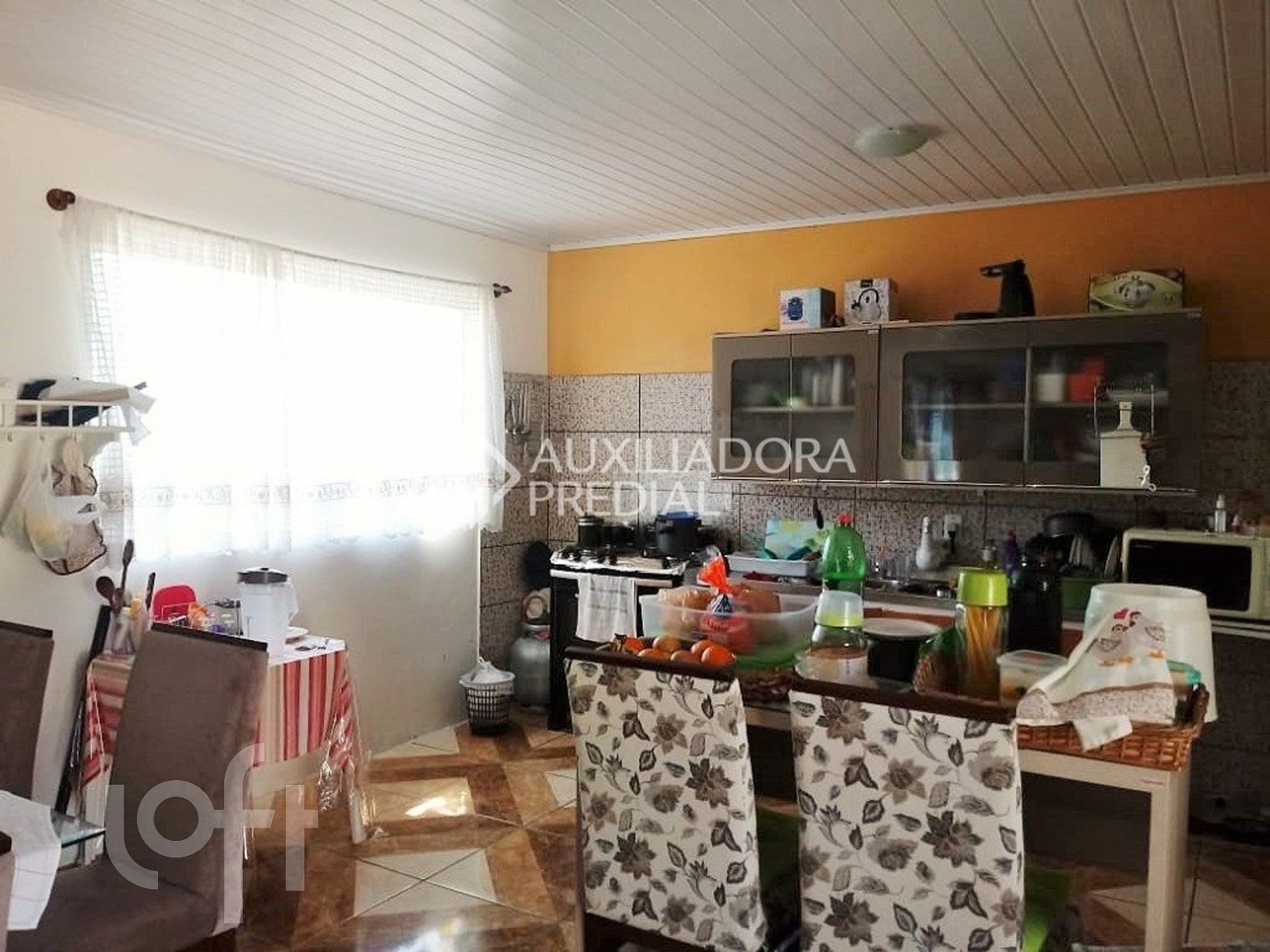 Imagem da propriedade 12