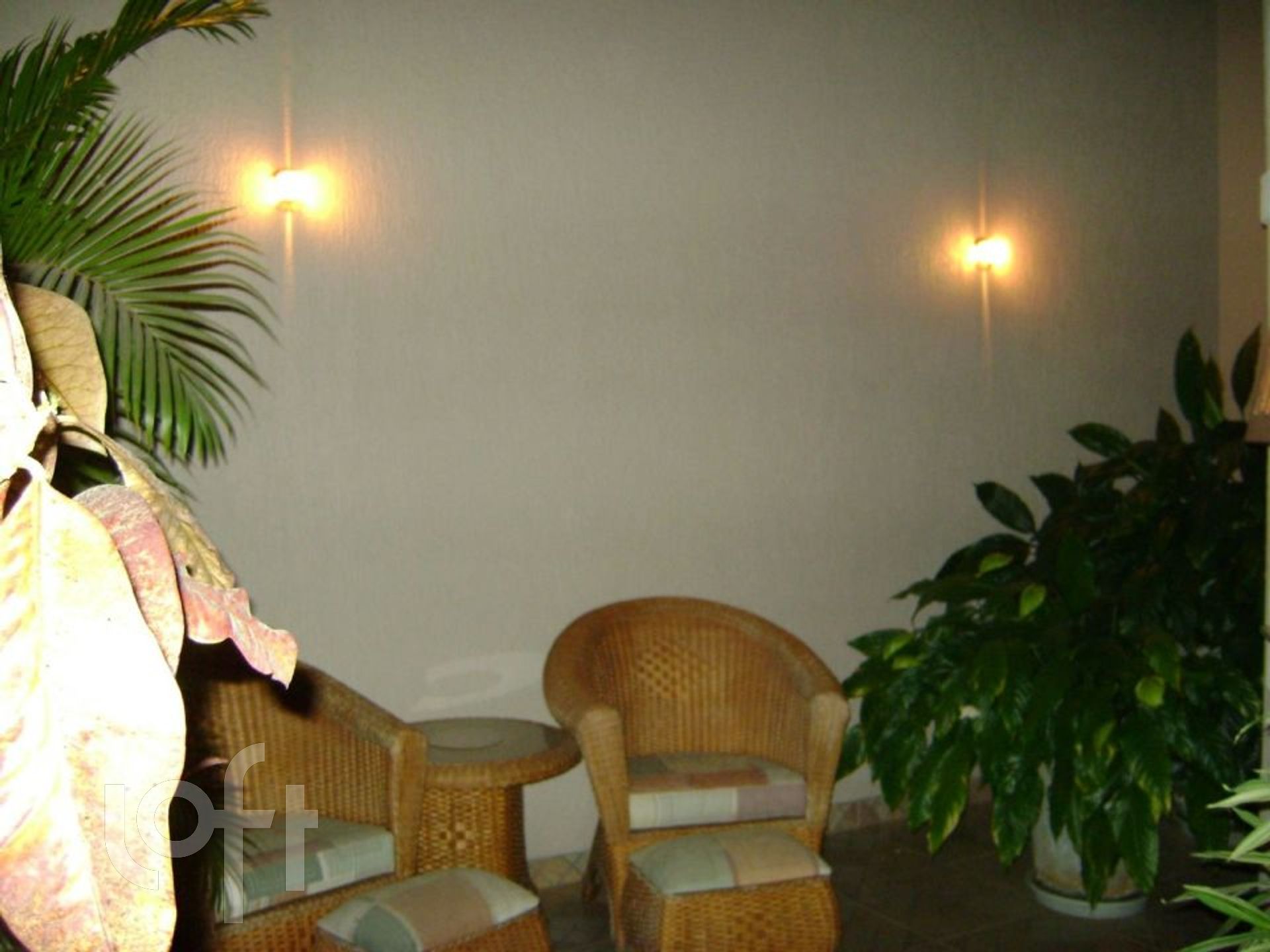 Imagem da propriedade 4