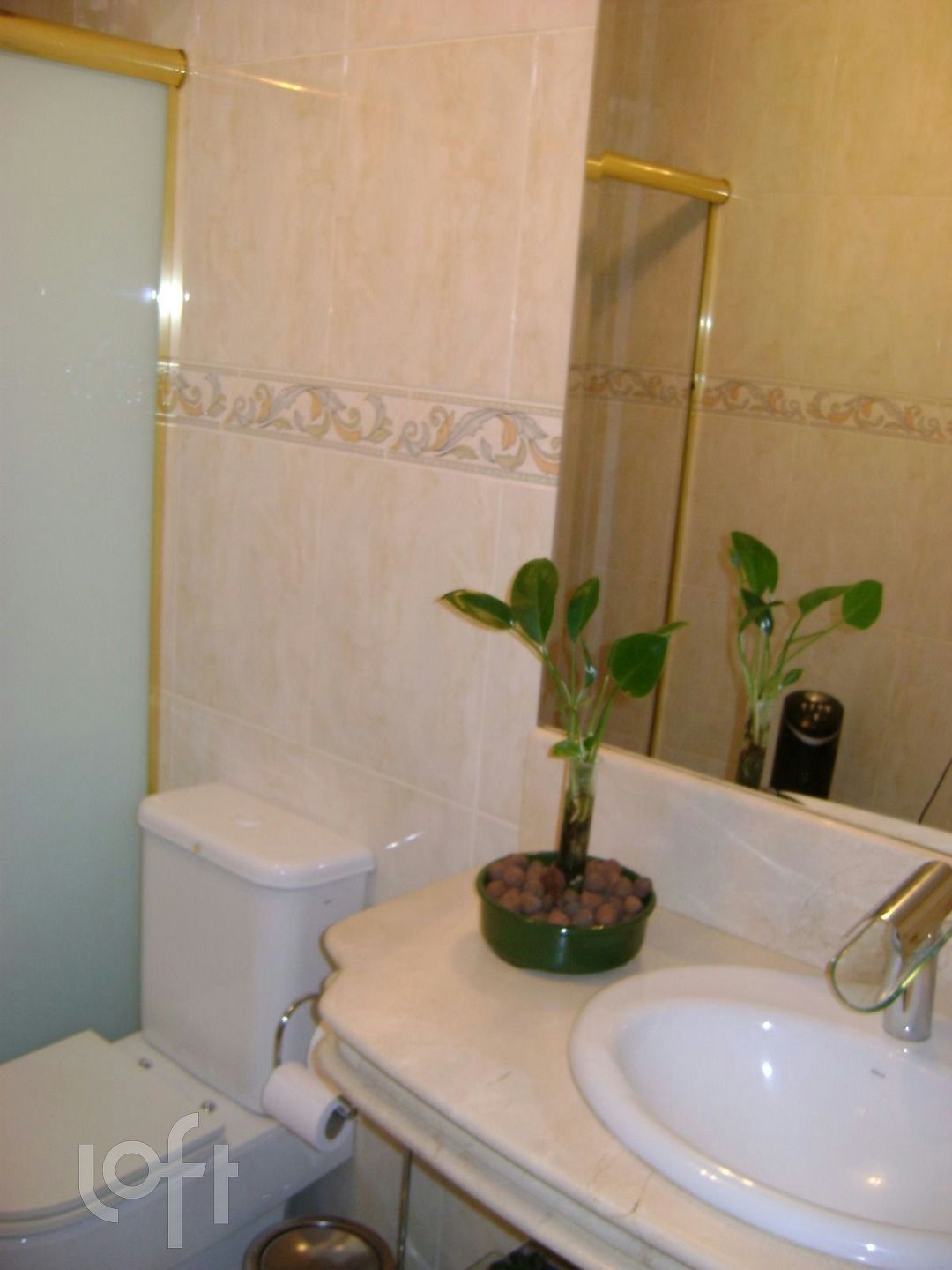 Imagem da propriedade 10