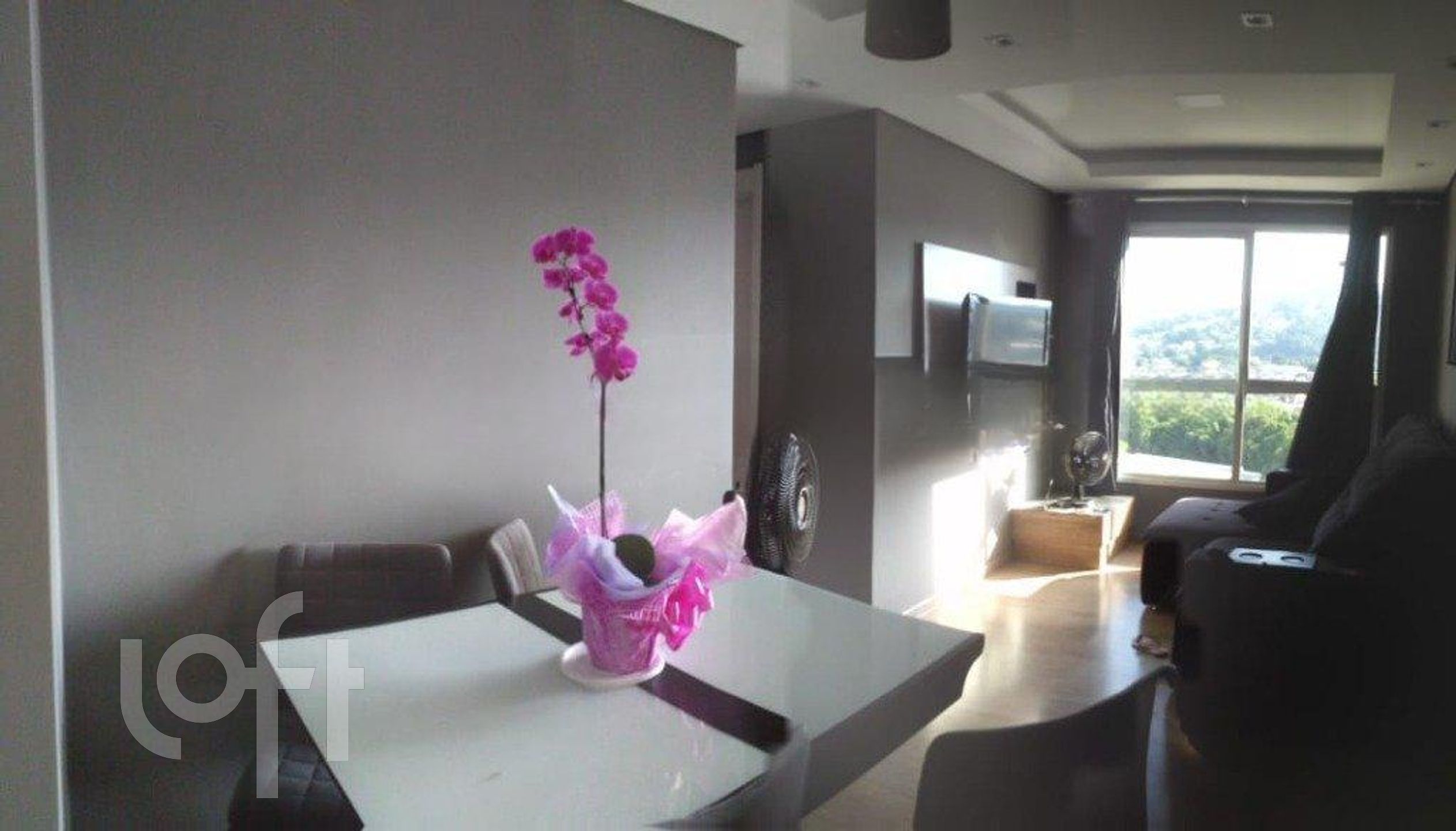 Imagem da propriedade 3