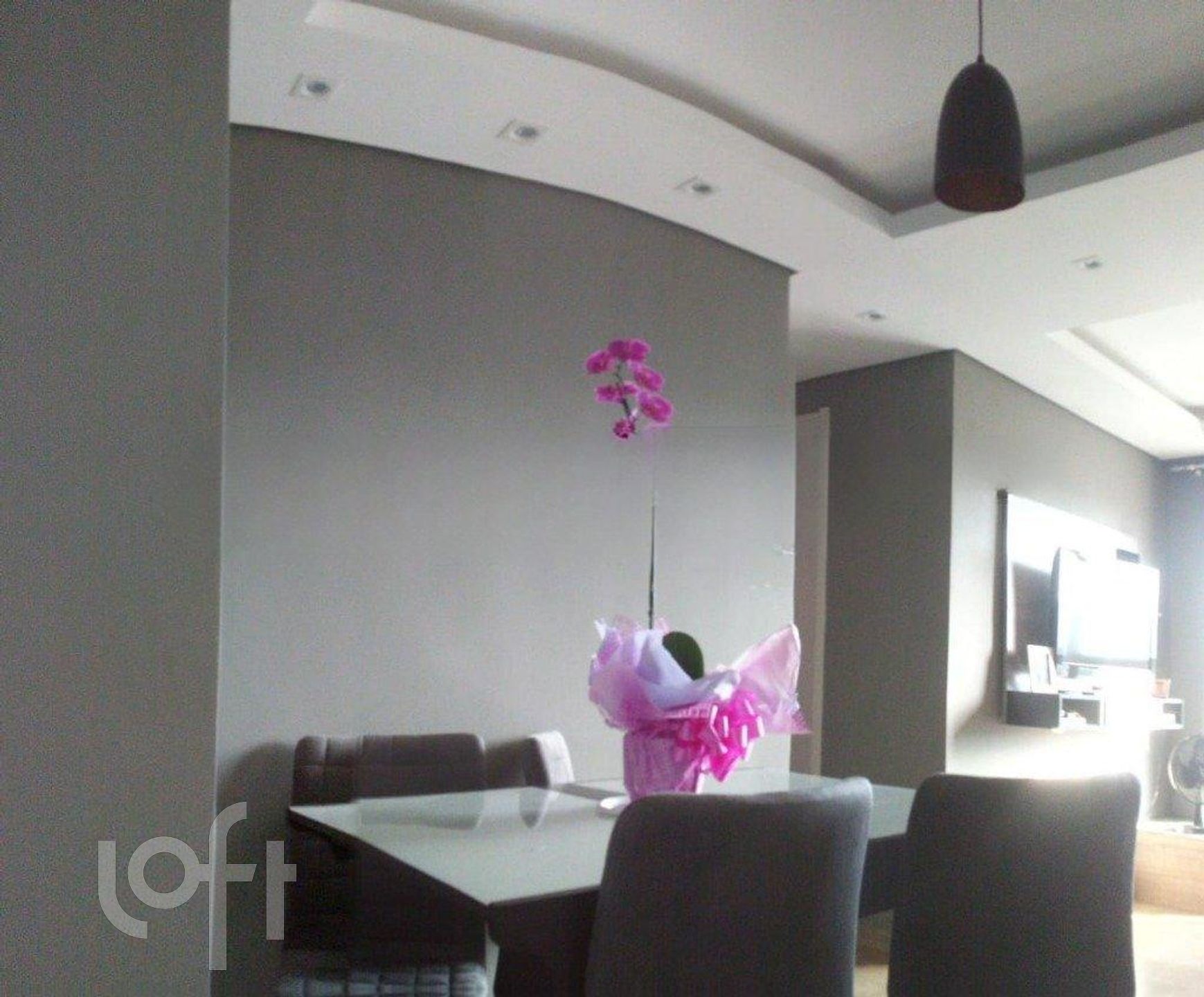 Imagem da propriedade 4