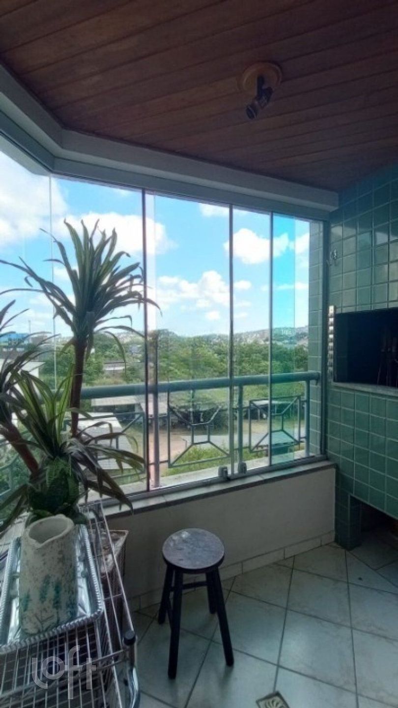 Imagem da propriedade 8