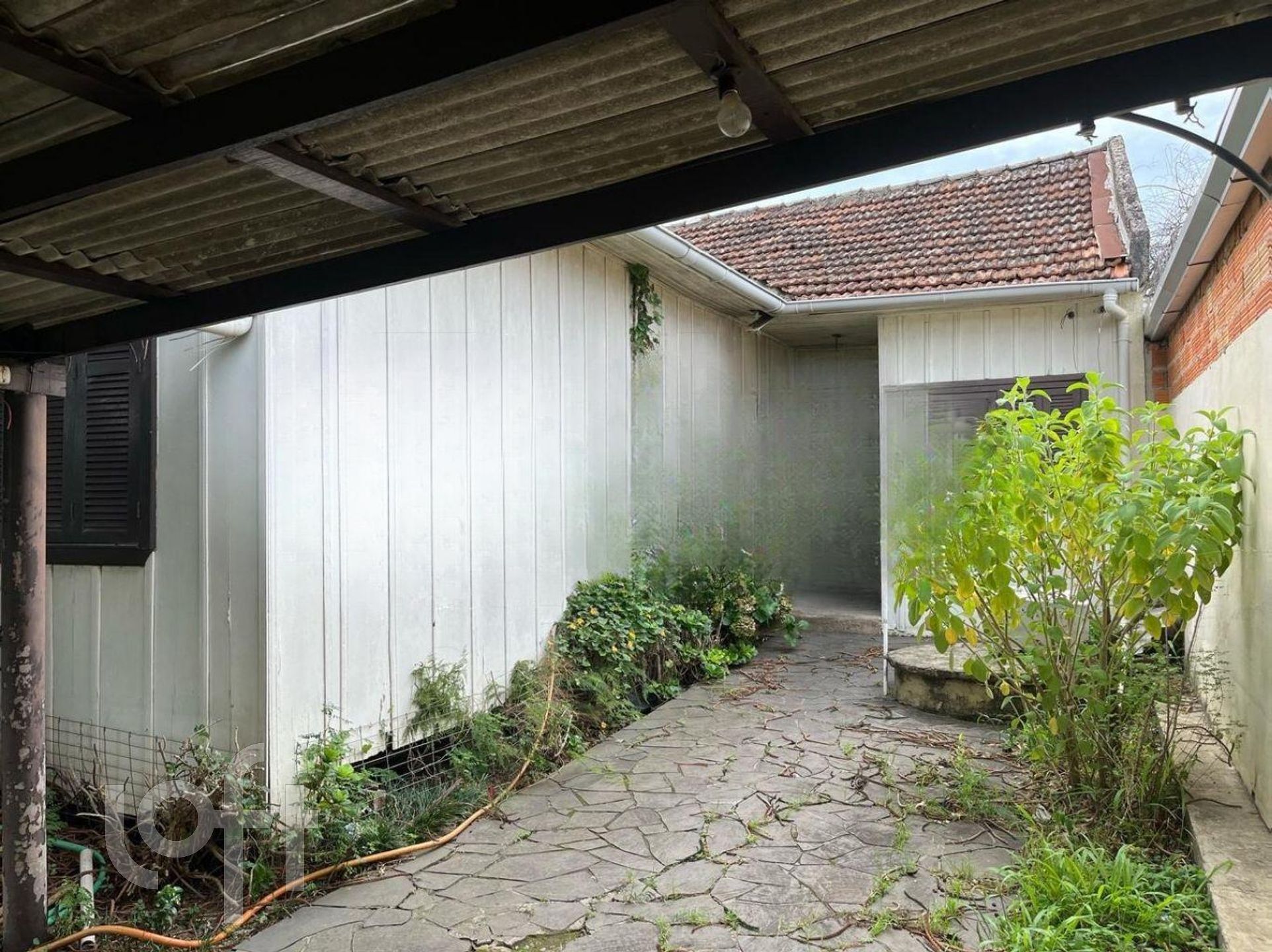 Imagem da propriedade 3