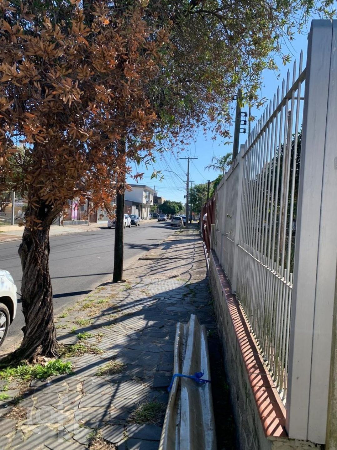 Imagem da propriedade 32