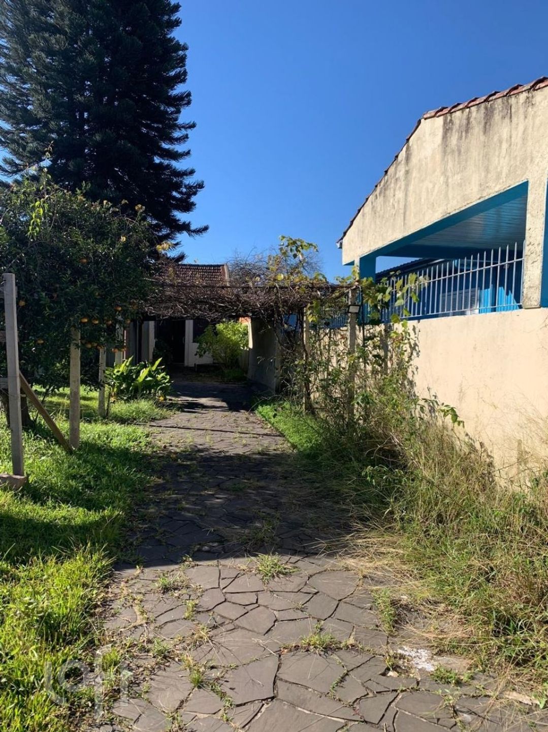 Imagem da propriedade 10