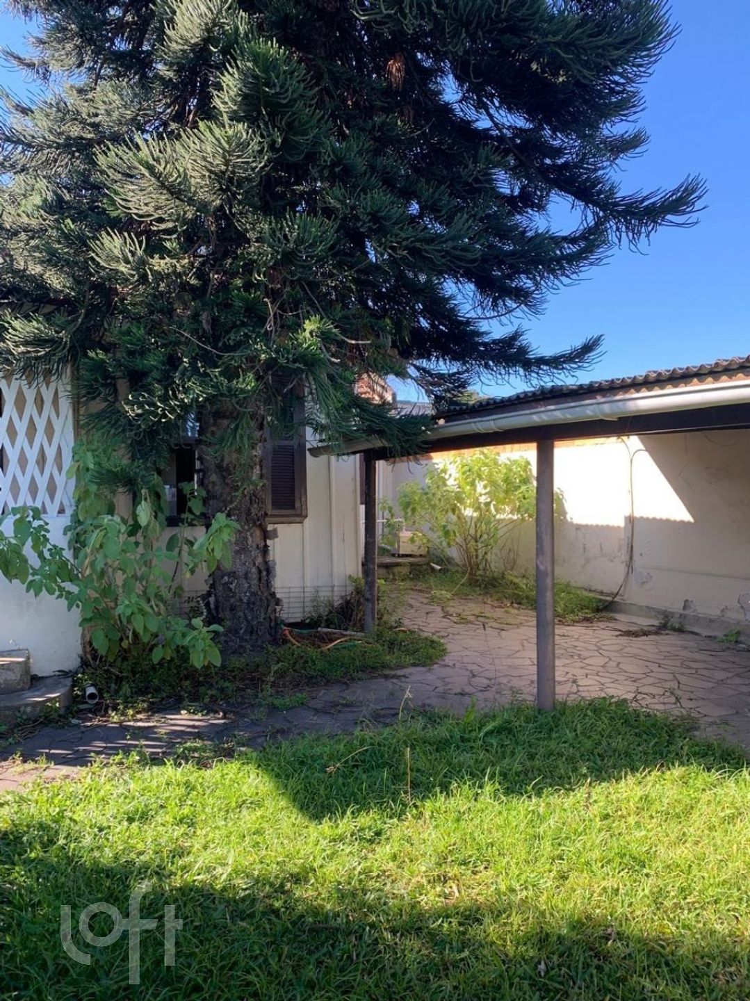 Imagem da propriedade 26