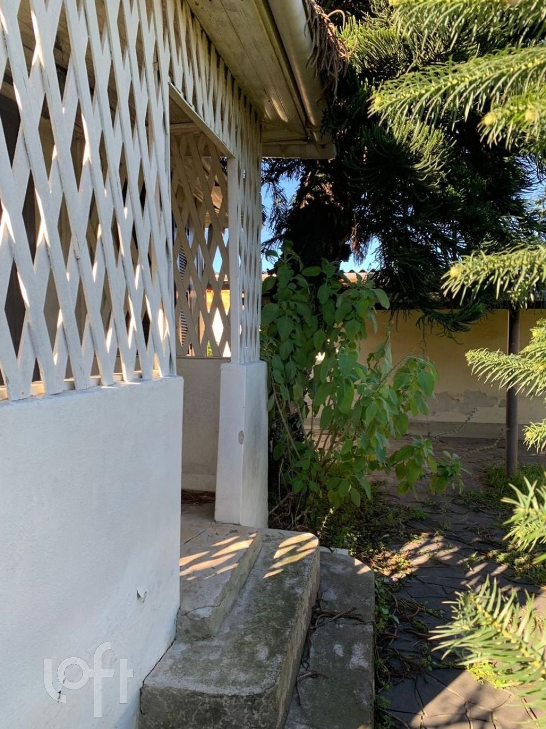 Imagem da propriedade 27