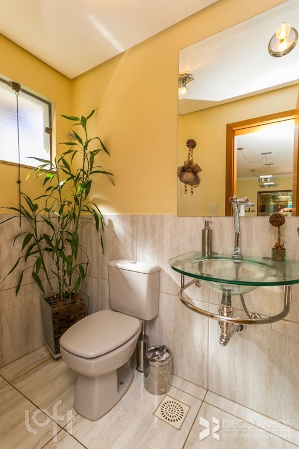 Imagem da propriedade 3