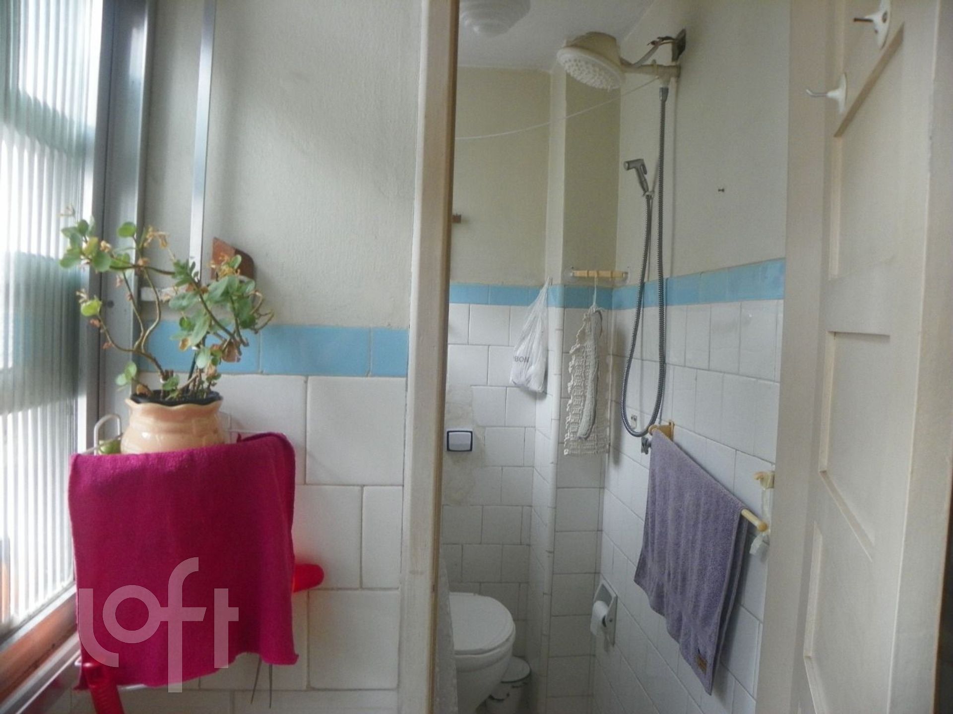 Imagem da propriedade 9