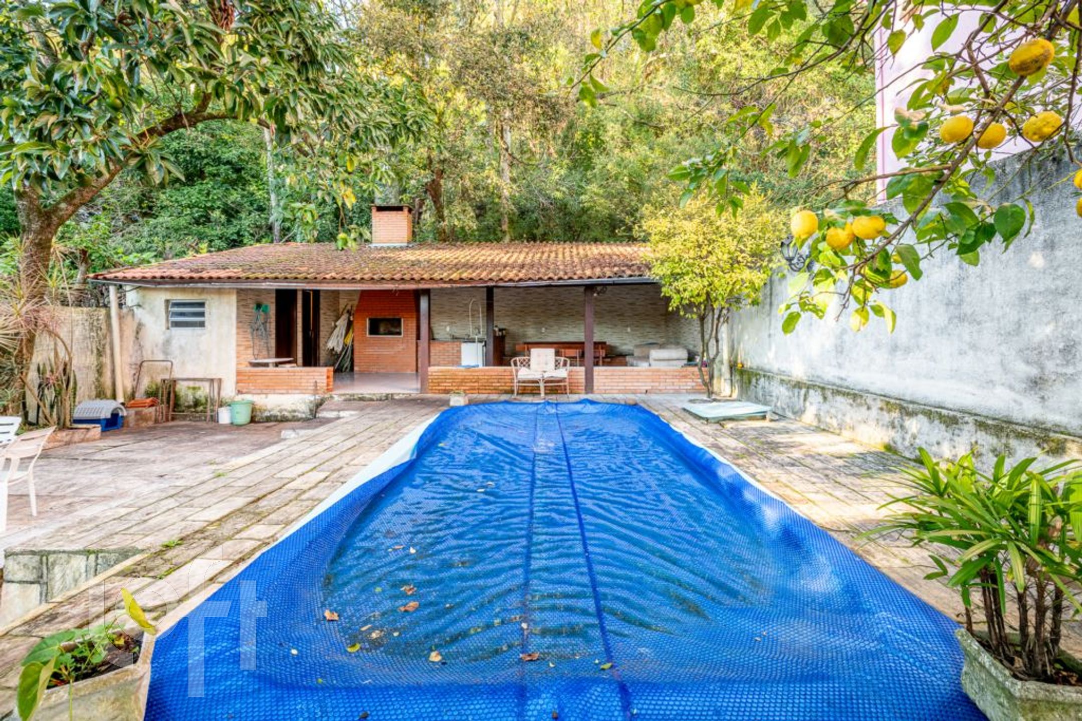 Imagem da propriedade 46