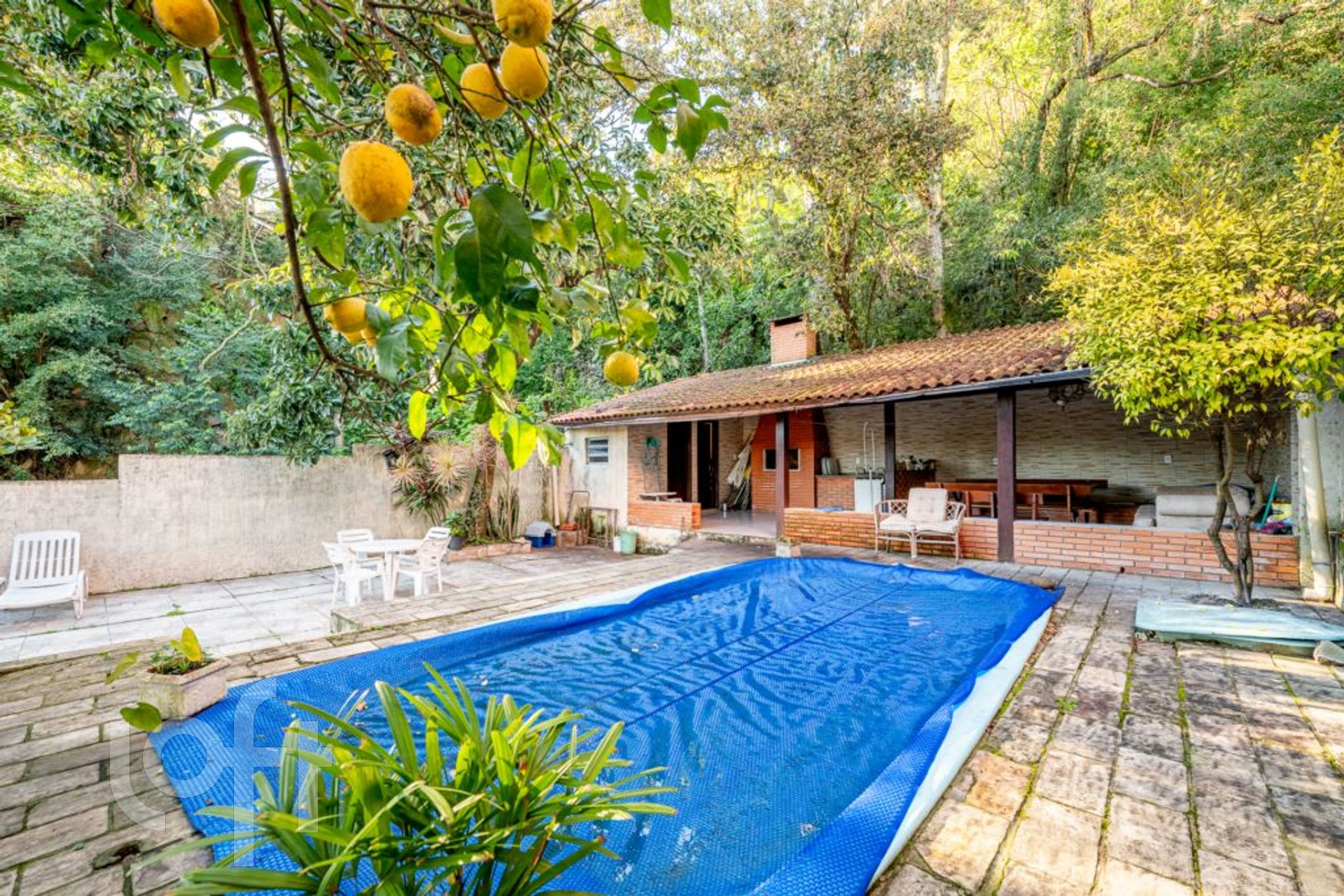 Imagem da propriedade 45