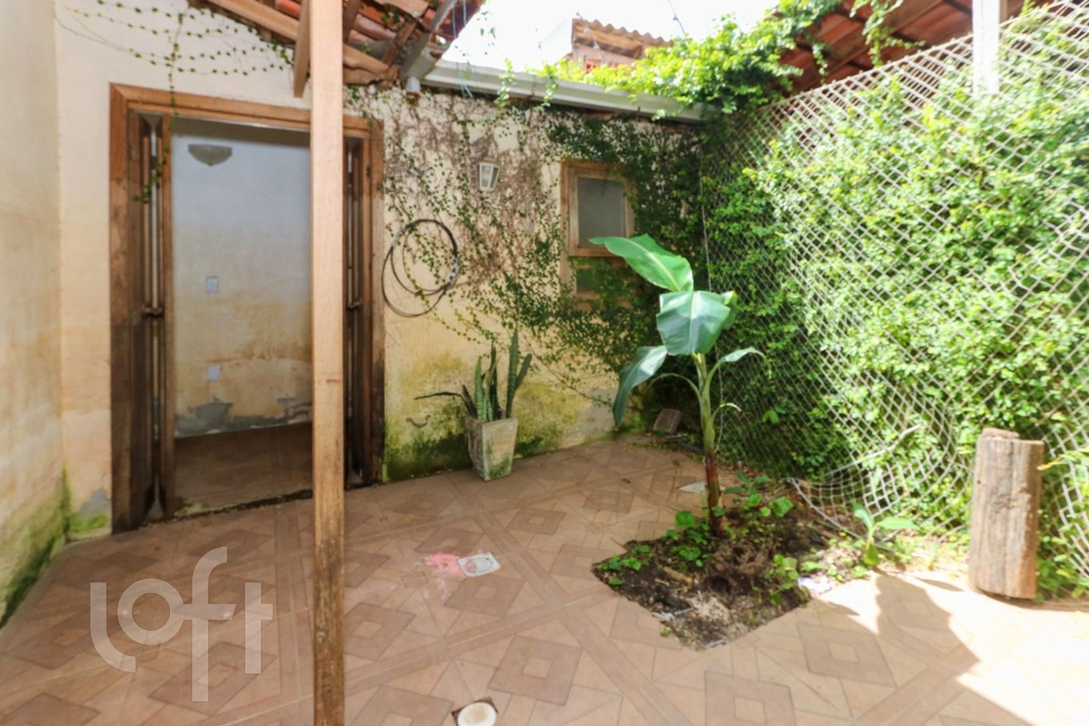 Imagem da propriedade 7