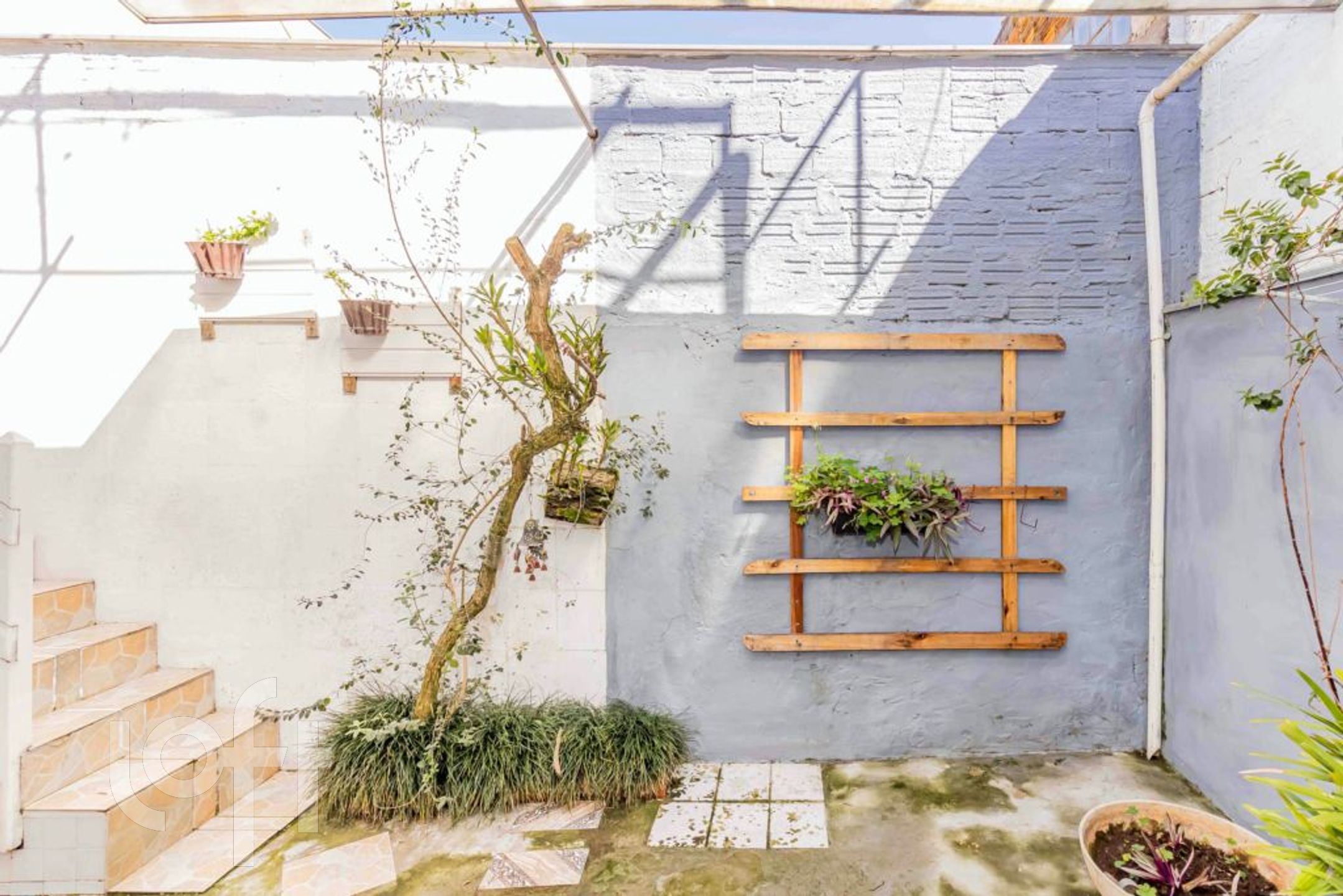 Imagem da propriedade 23