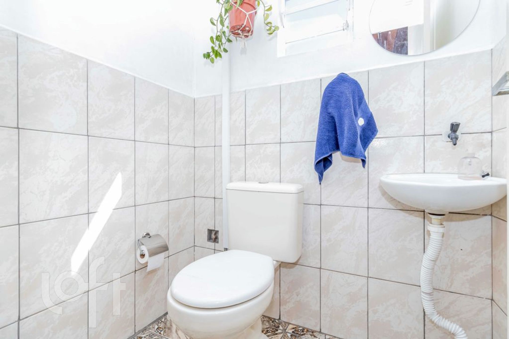 Imagem da propriedade 51