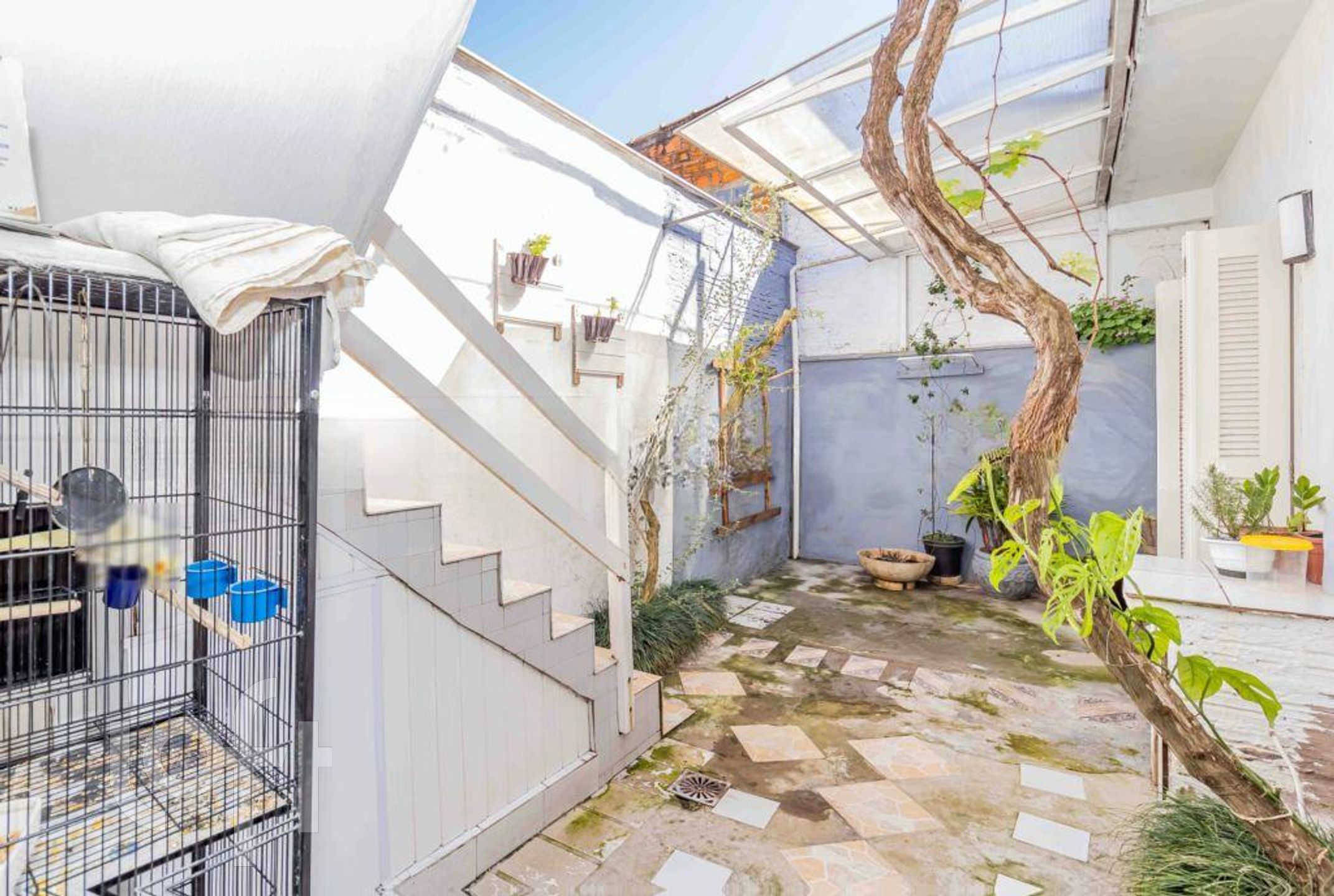 Imagem da propriedade 71