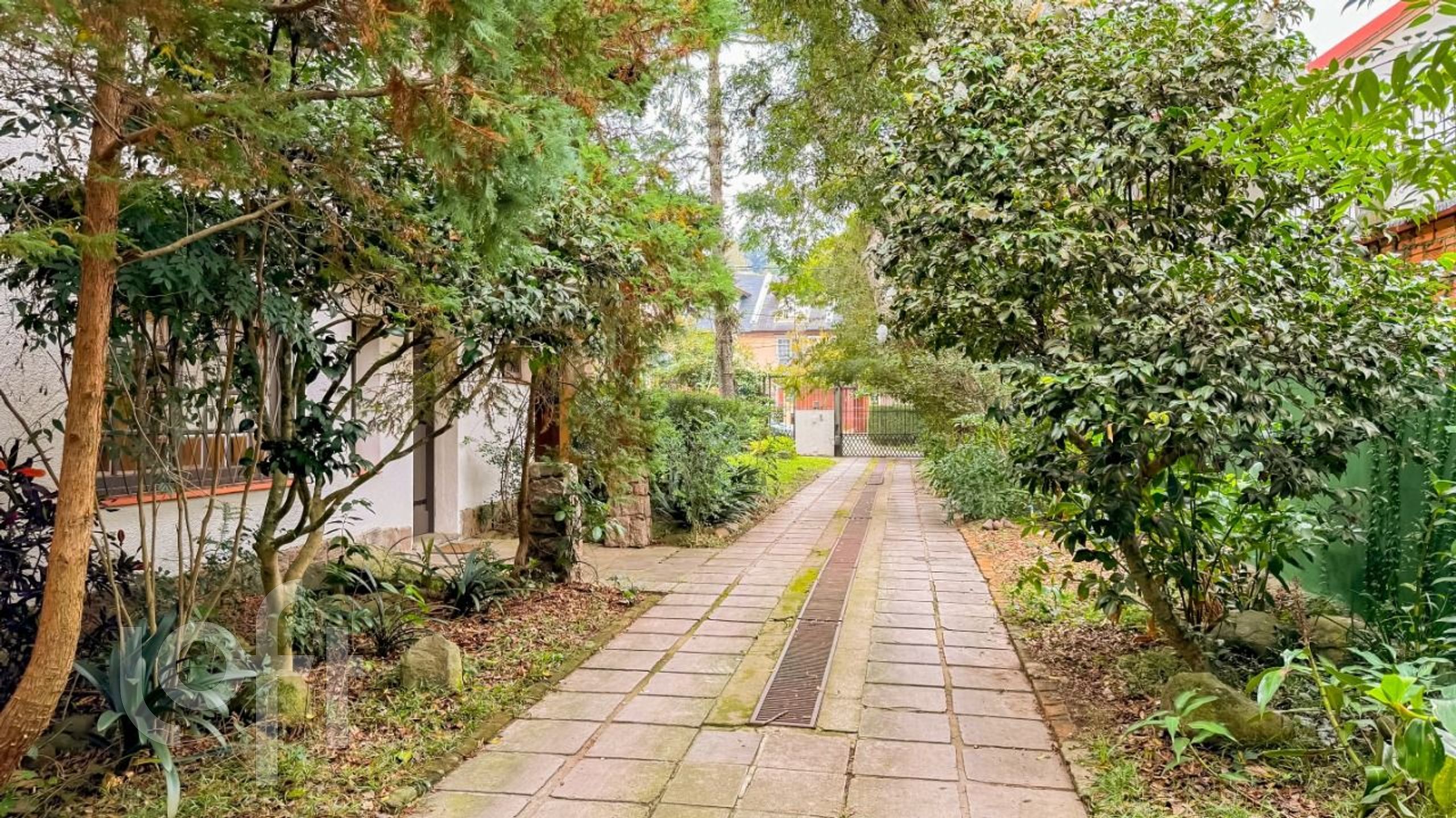 Imagem da propriedade 33