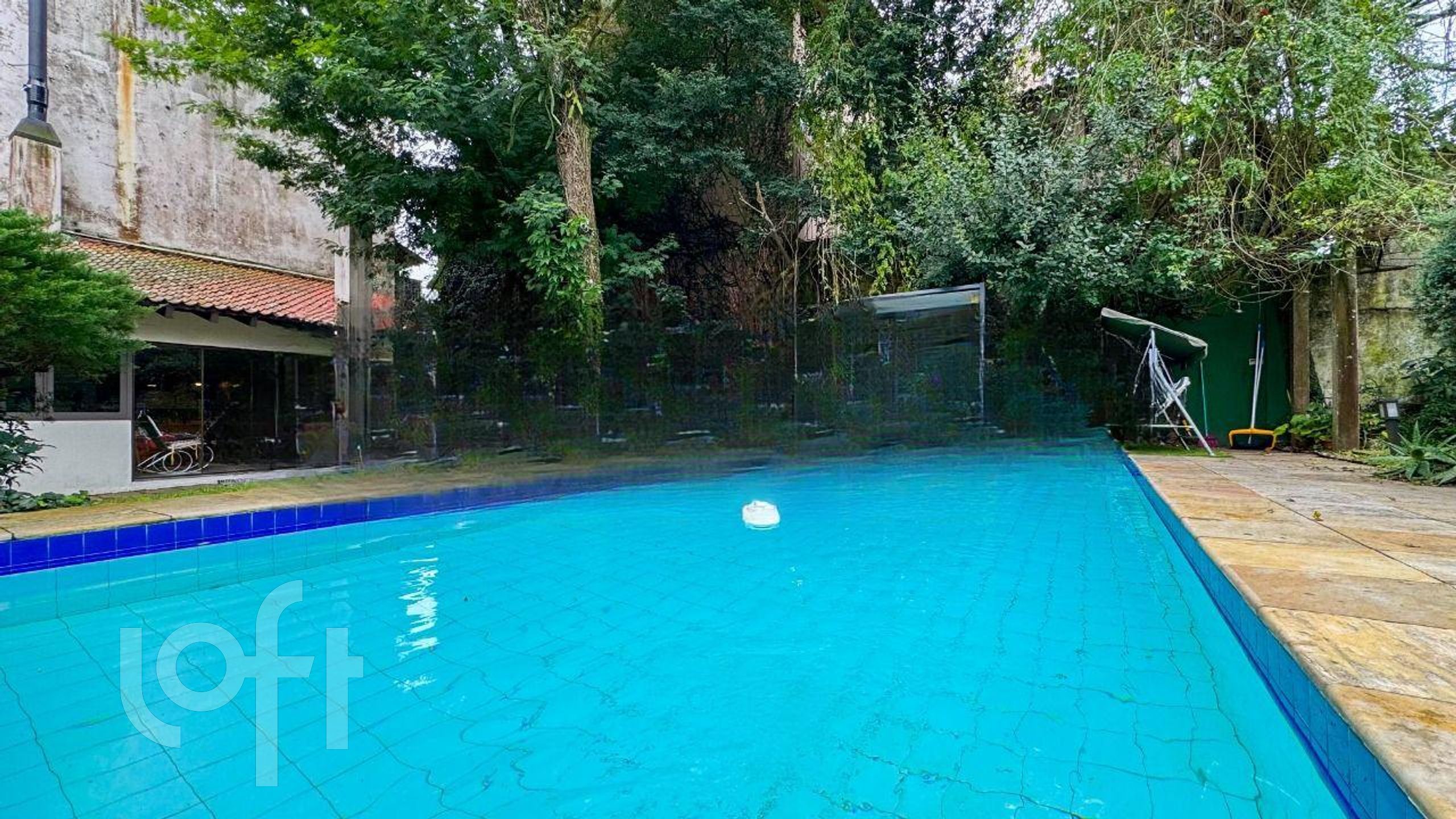 Imagem da propriedade 30