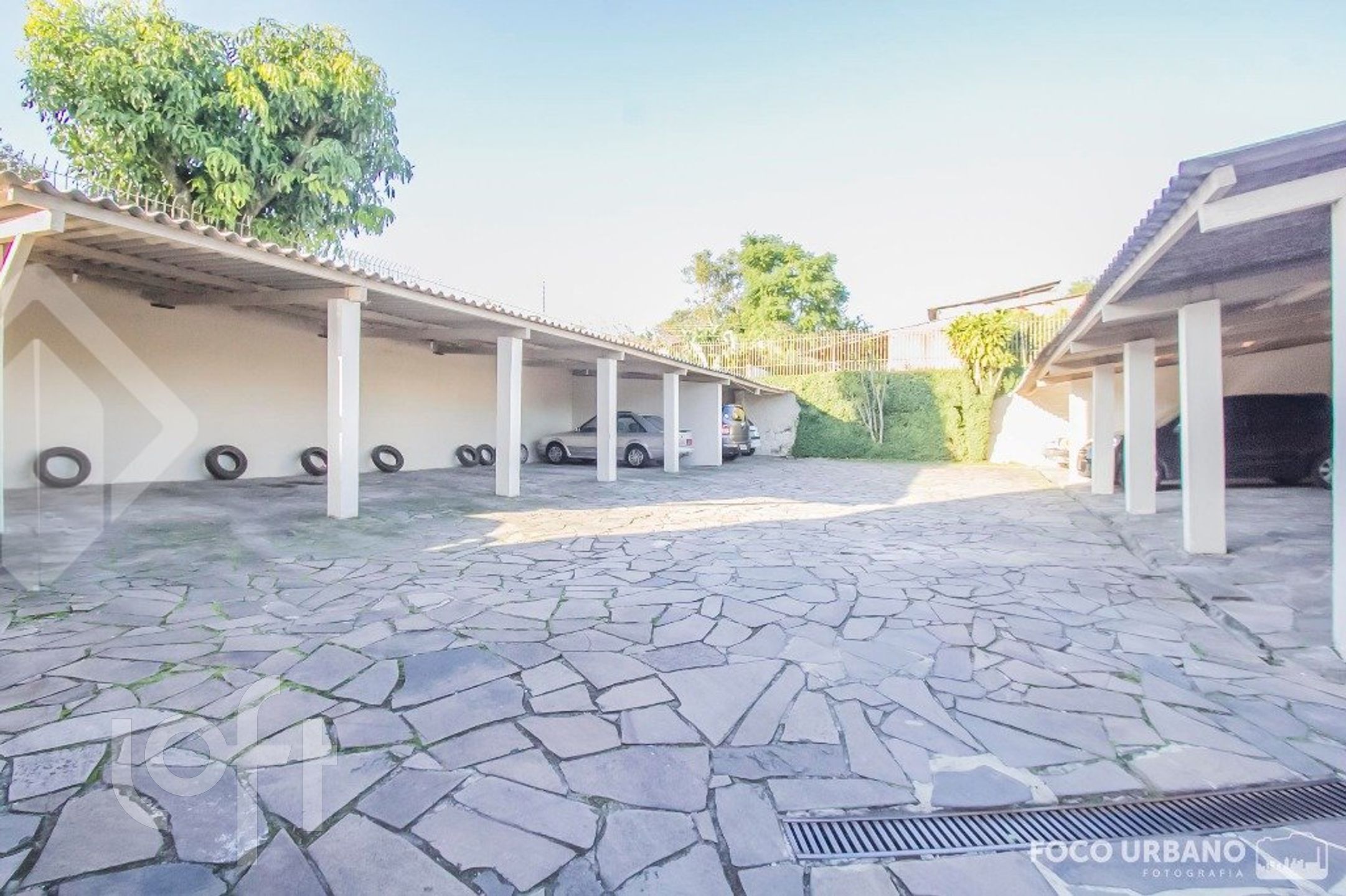 Imagem da propriedade 19