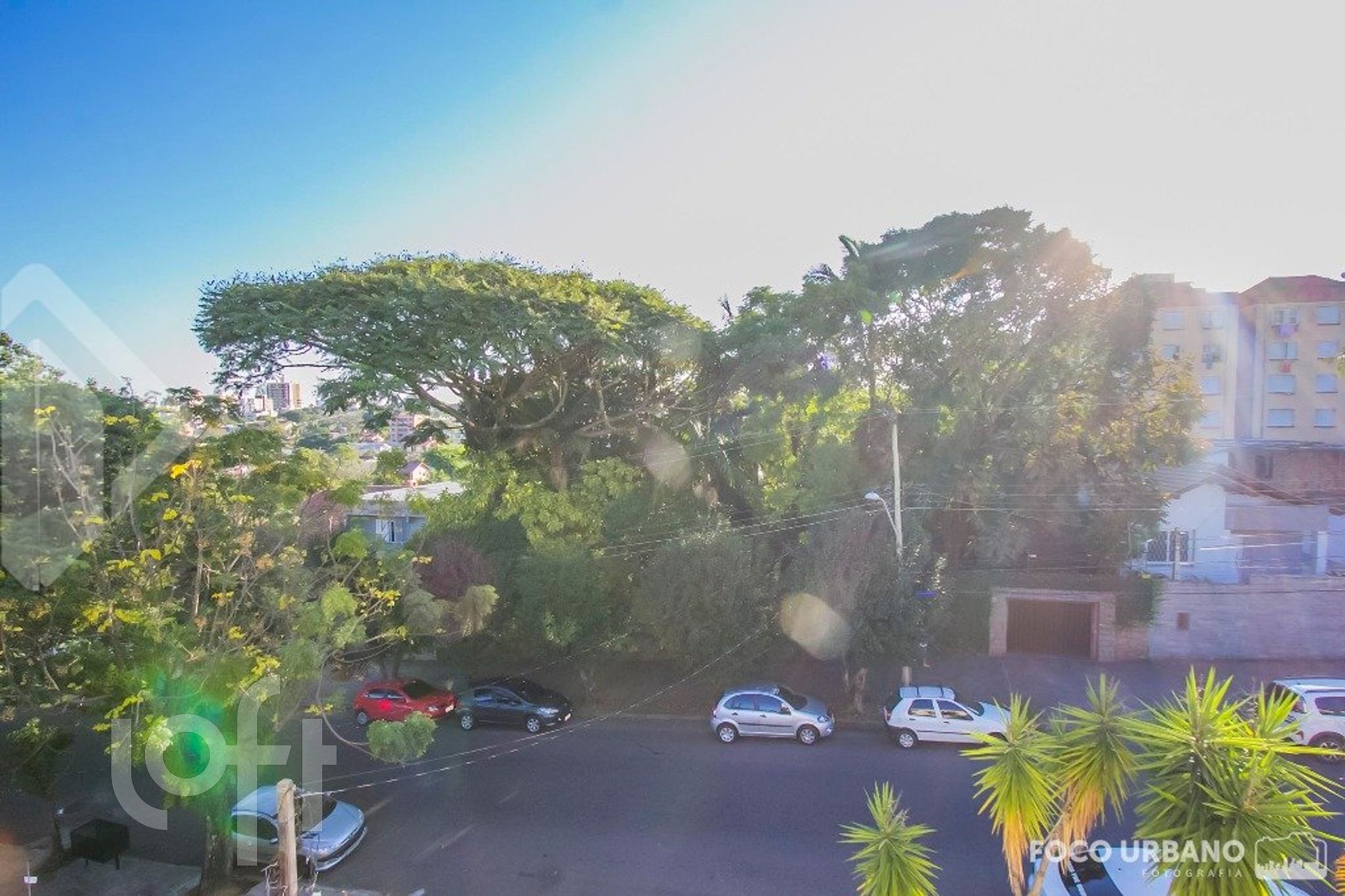 Imagem da propriedade 15