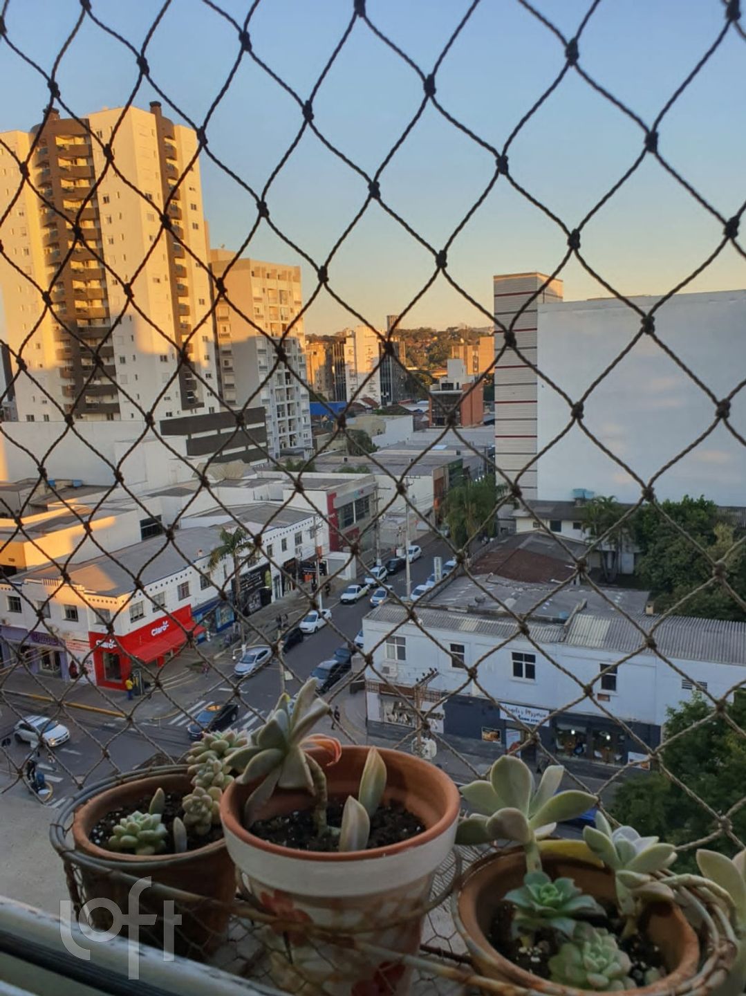 Imagem da propriedade 11