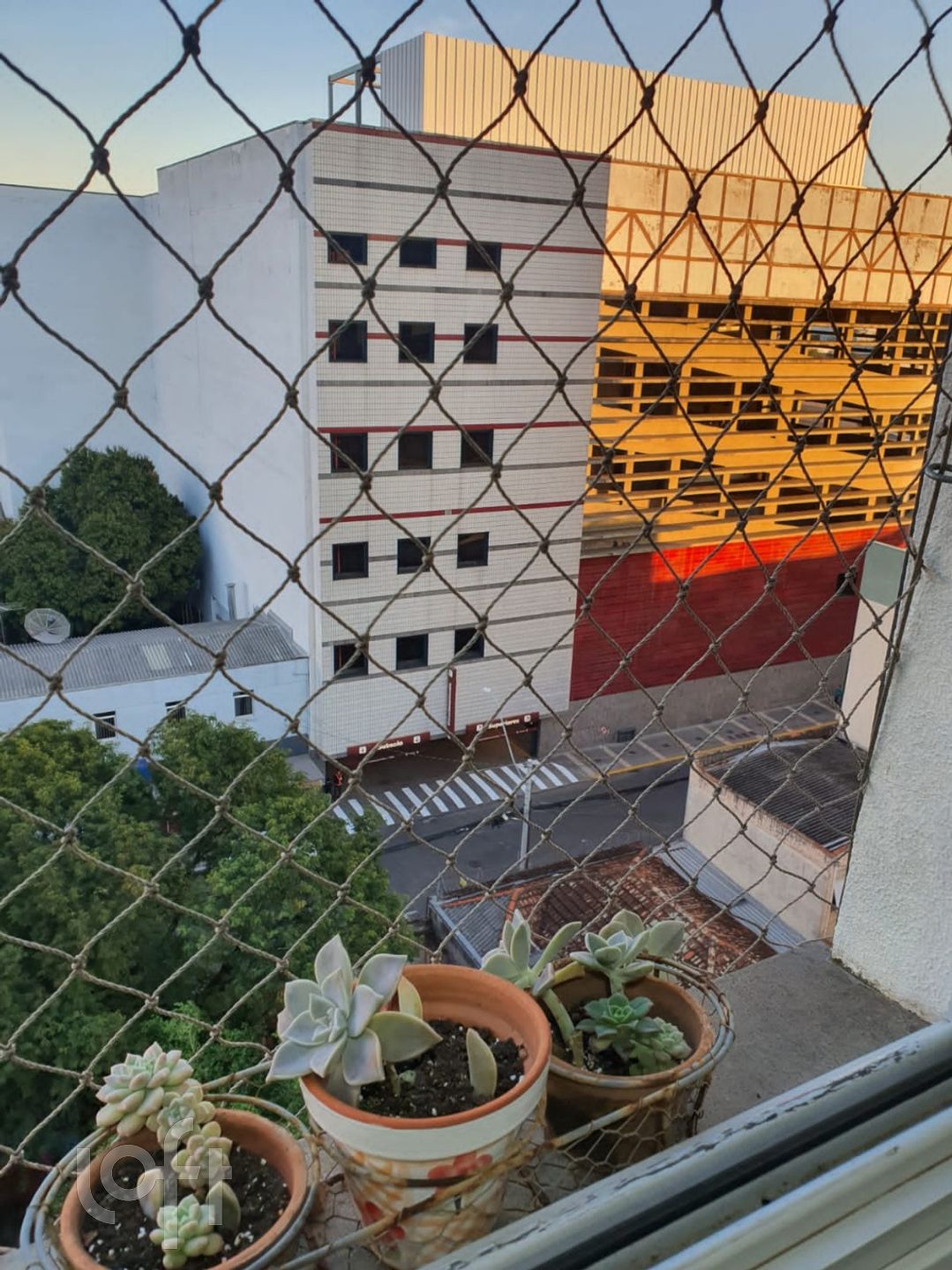 Imagem da propriedade 5