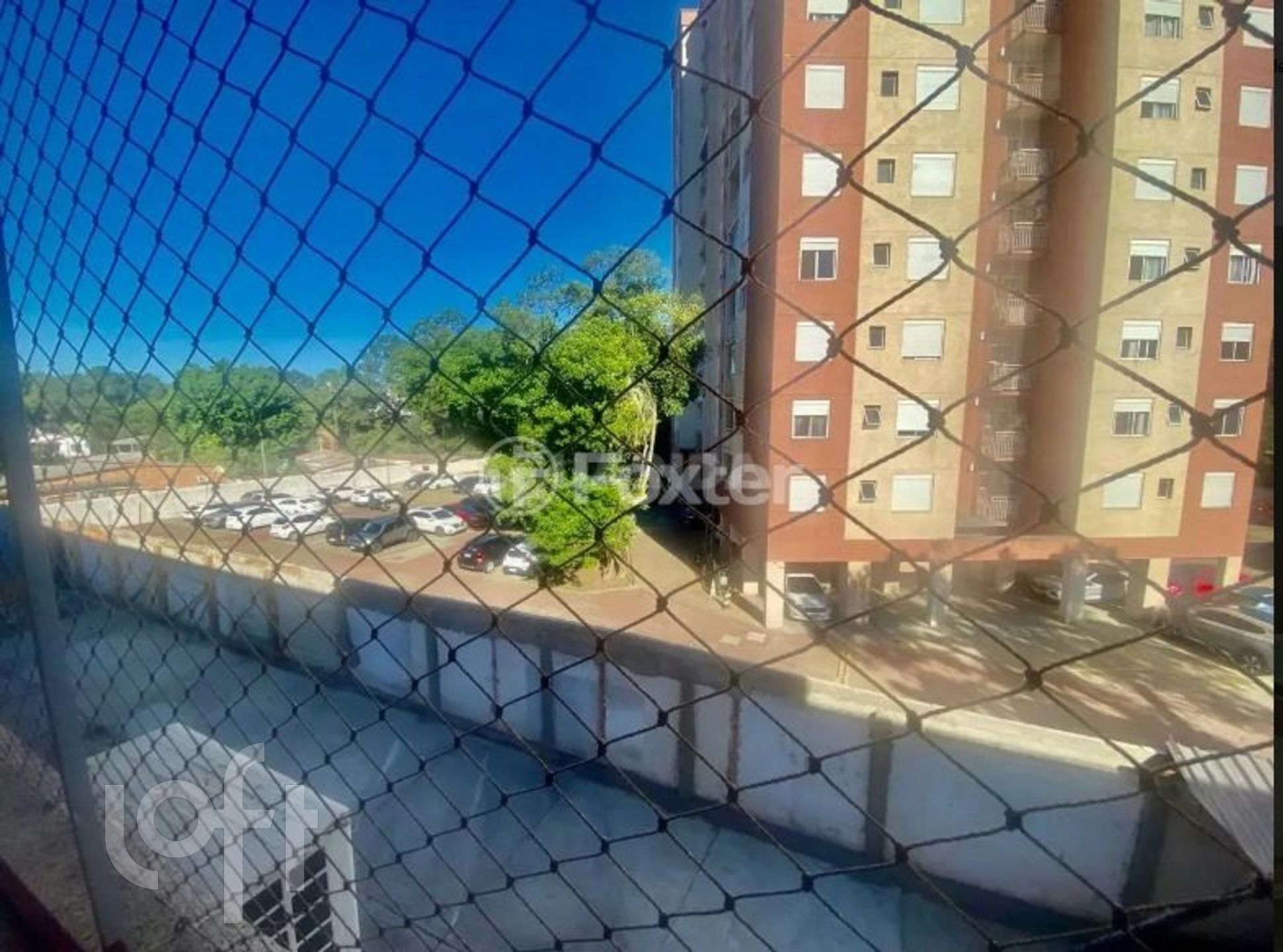 Imagem da propriedade 8