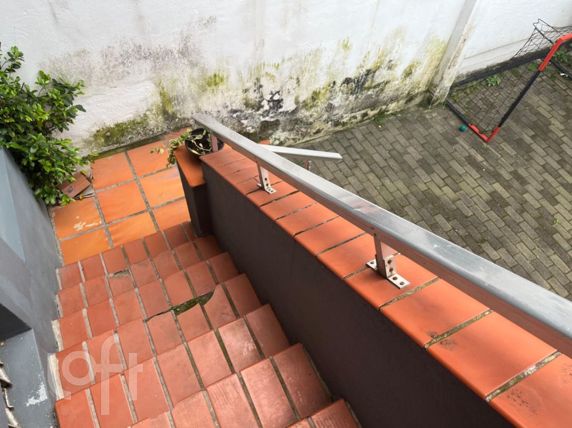 Imagem da propriedade 43