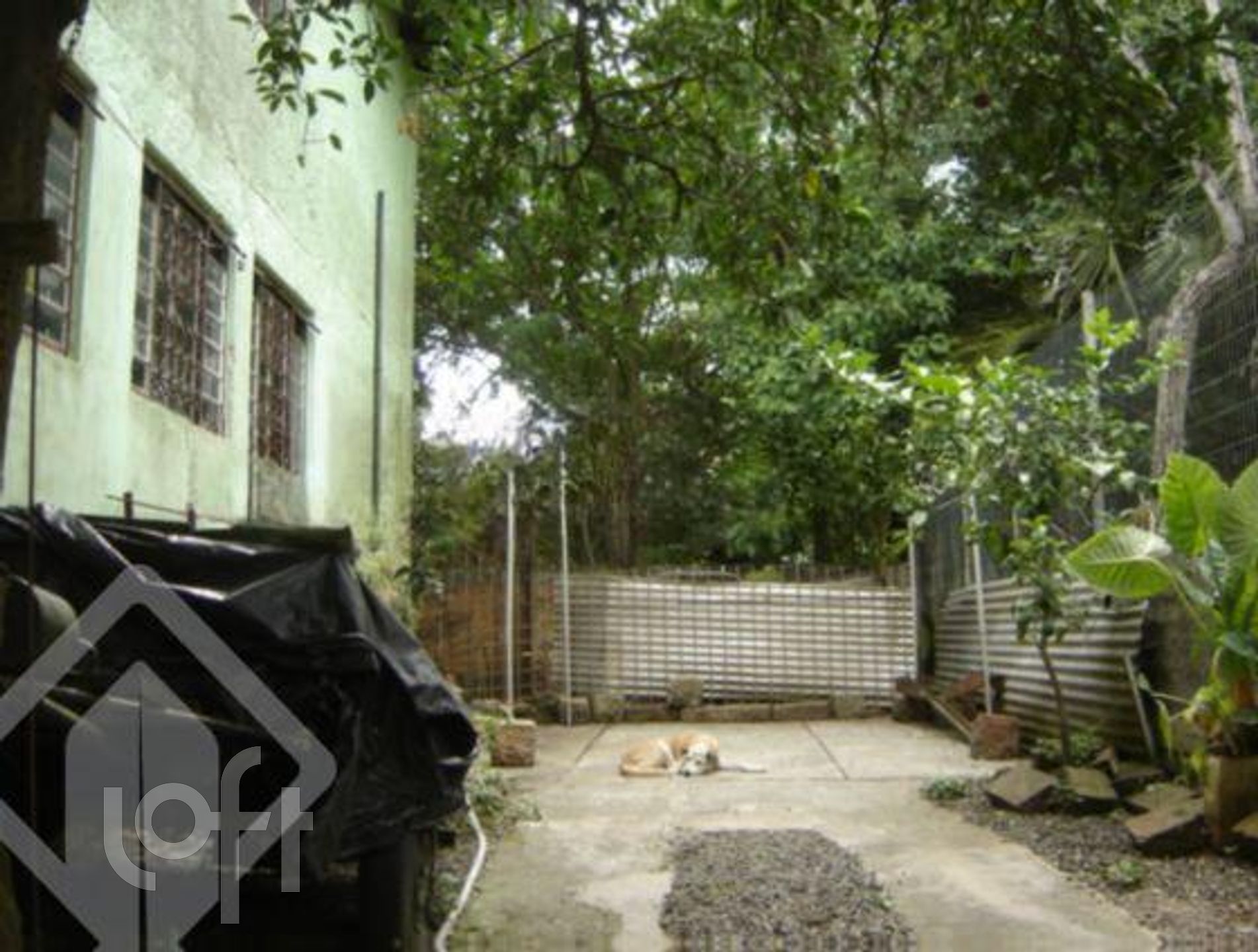 Imagem da propriedade 8