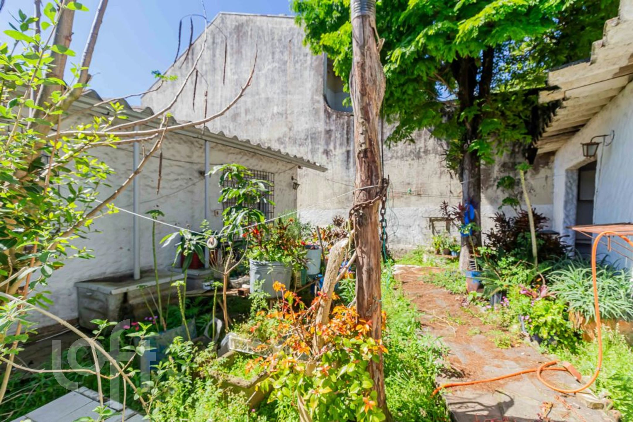 Imagem da propriedade 25