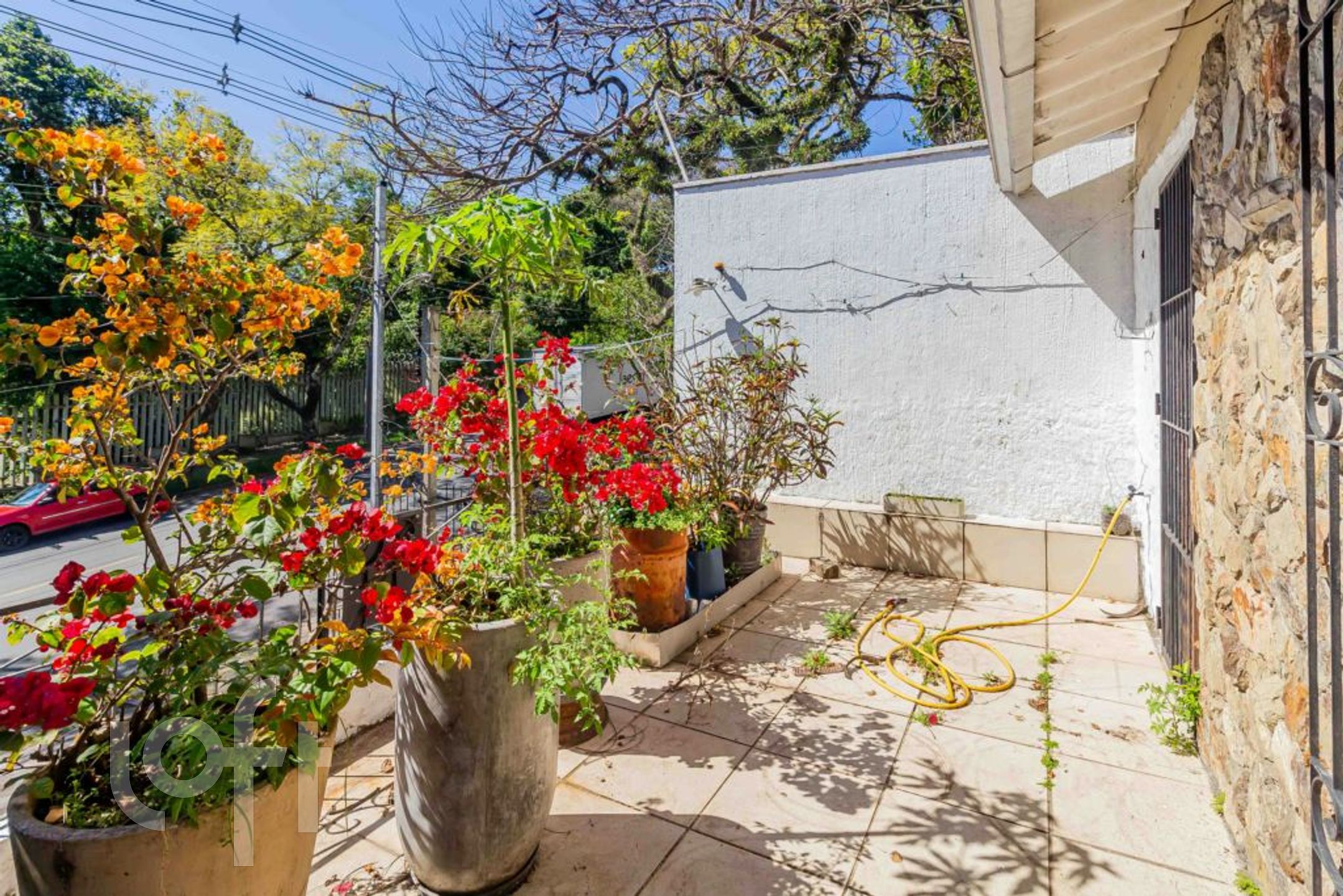 Imagem da propriedade 53