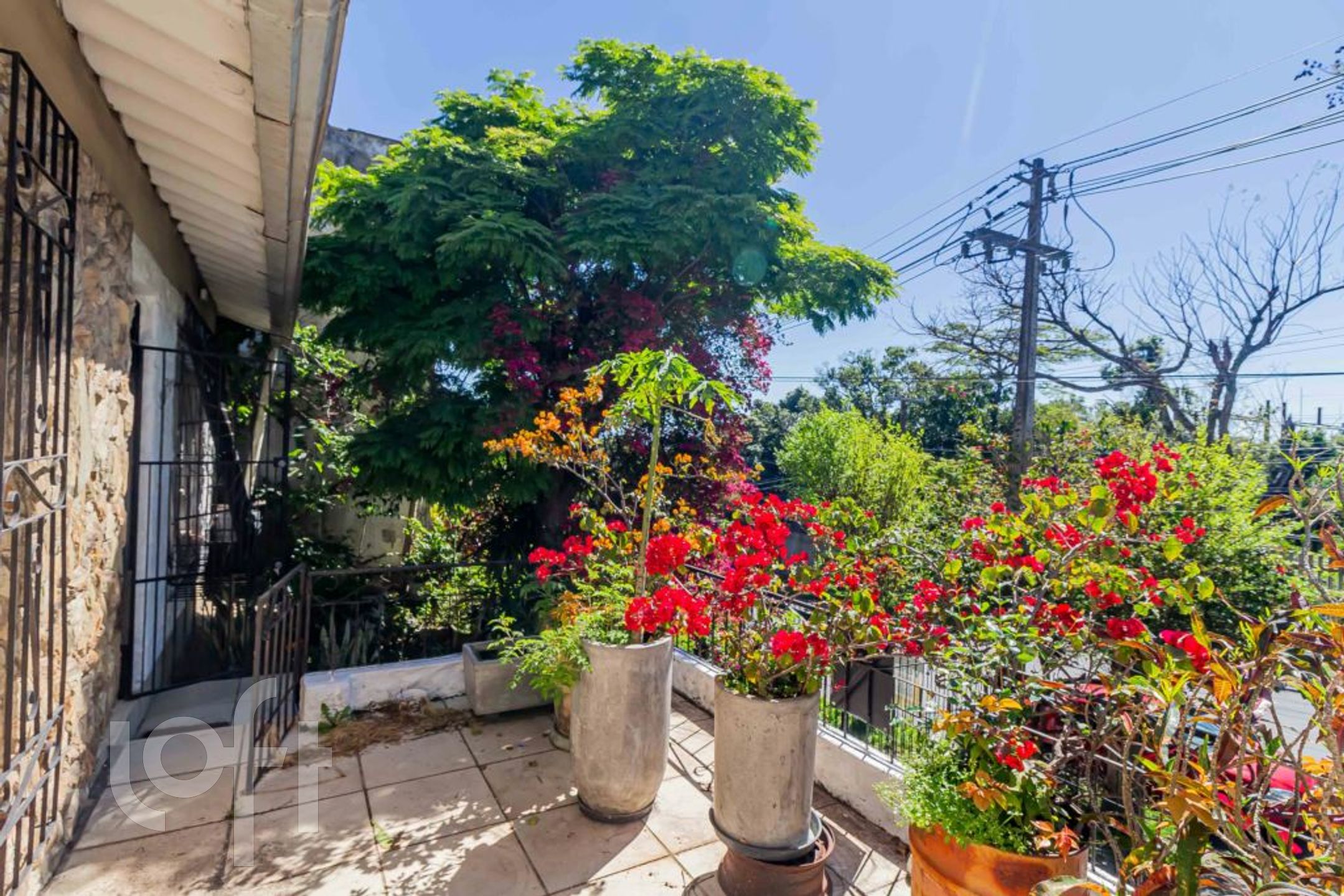 Imagem da propriedade 54