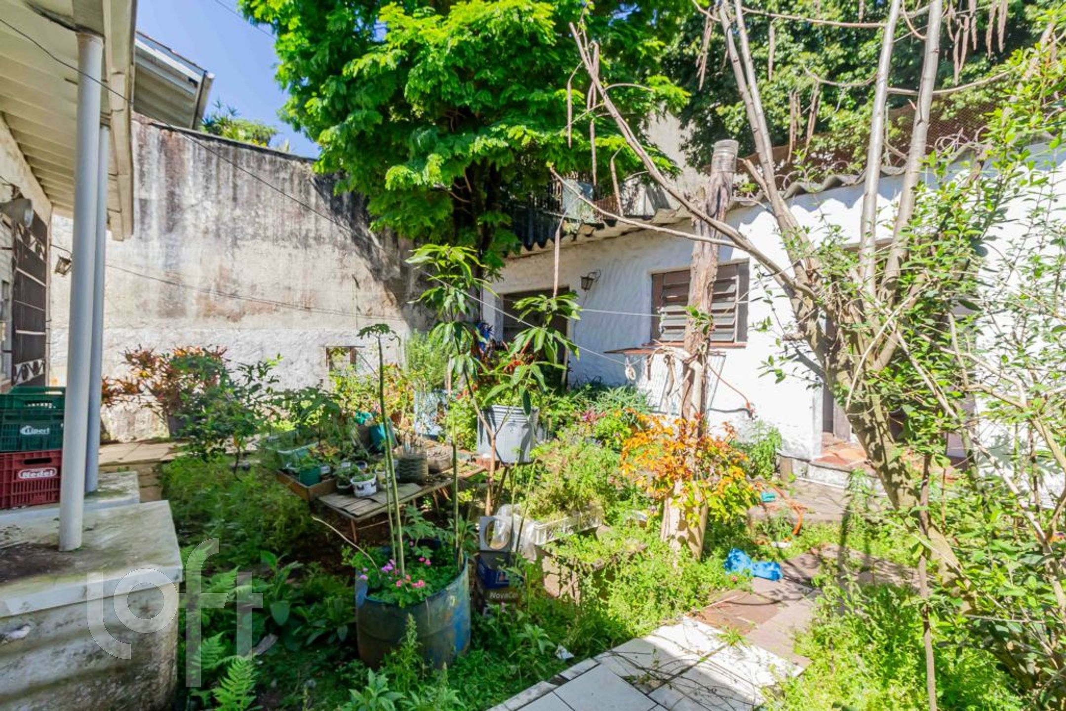 Imagem da propriedade 26