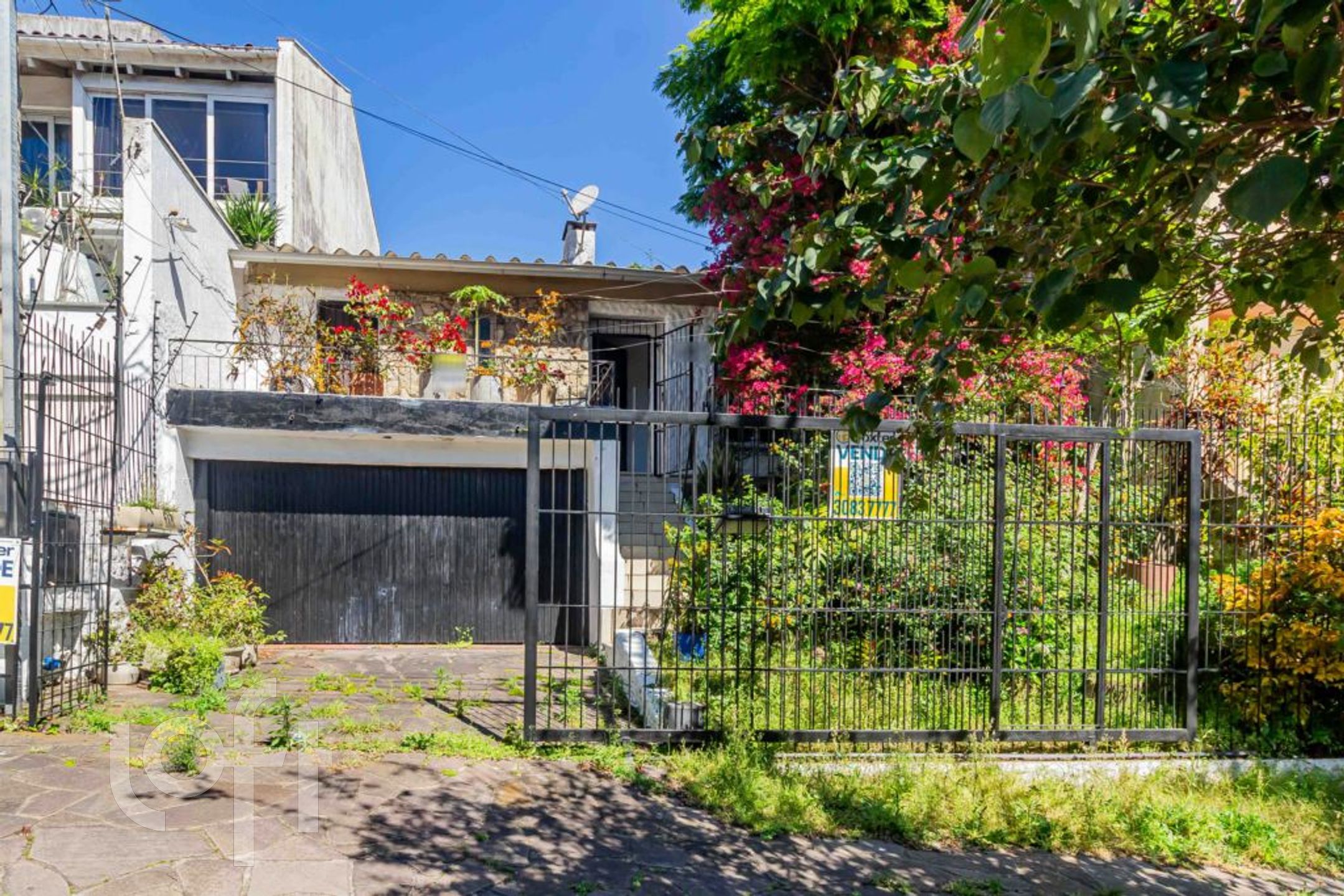 Imagem da propriedade 49