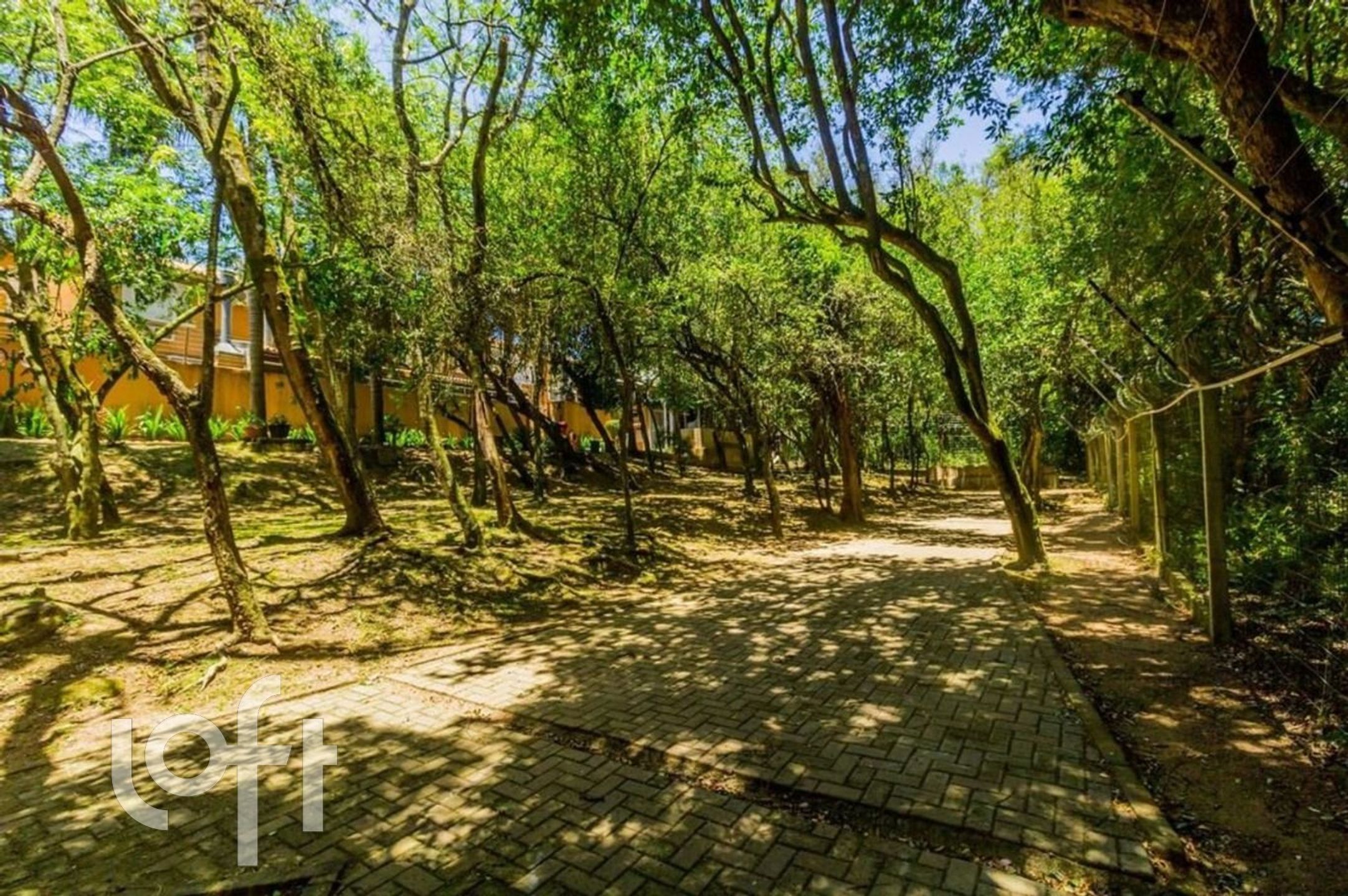 Imagem da propriedade 41