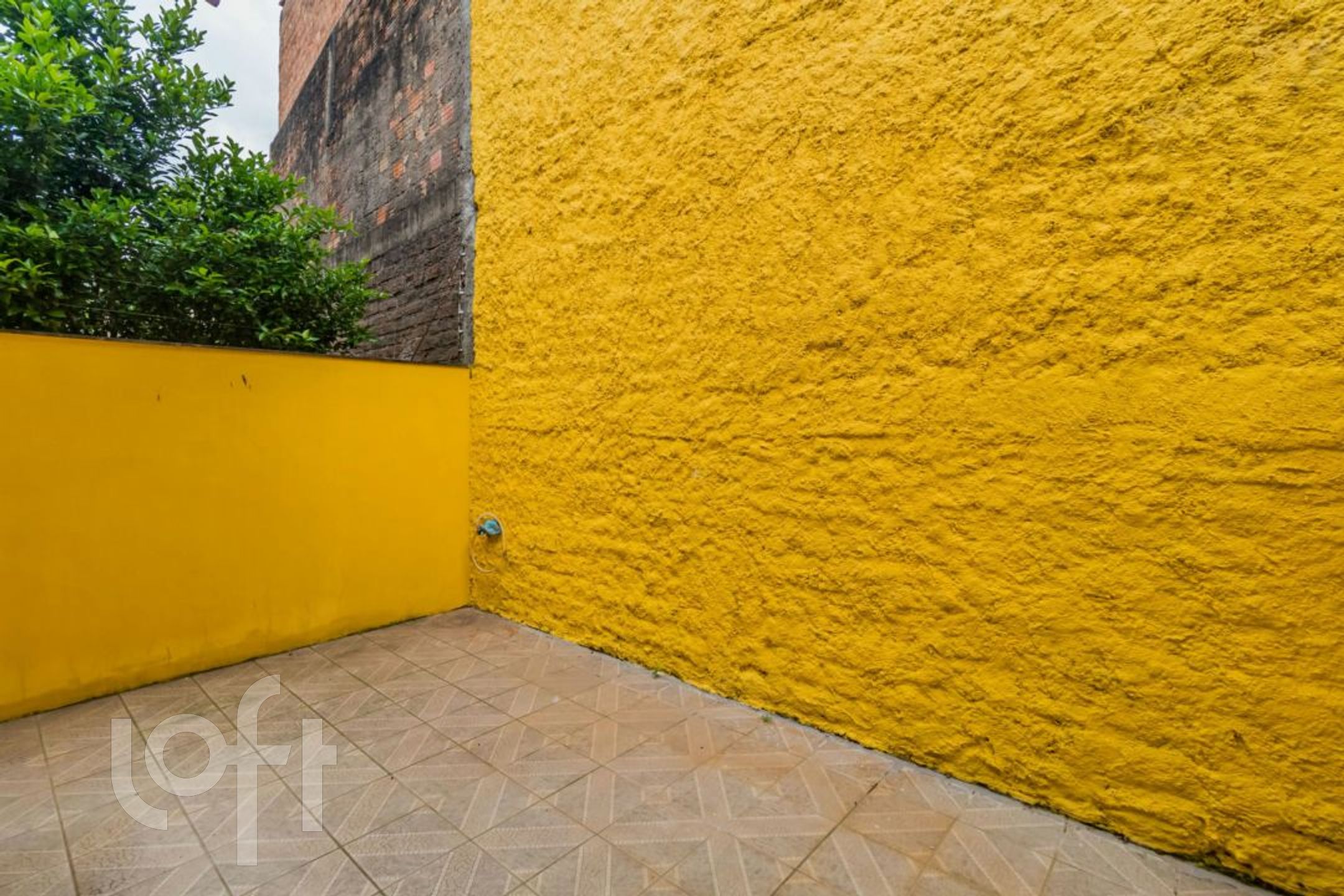 Imagem da propriedade 31