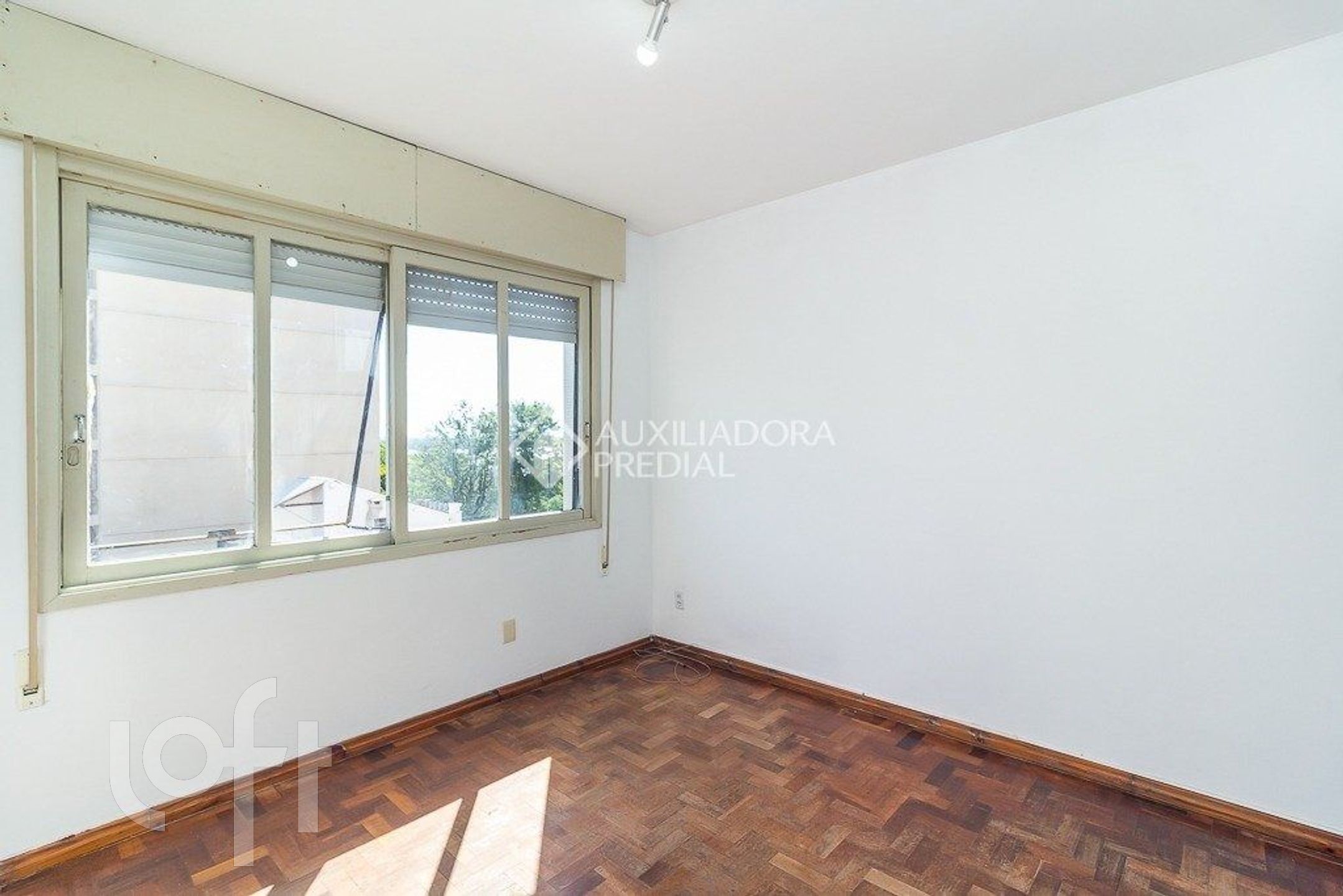 Imagem da propriedade 3