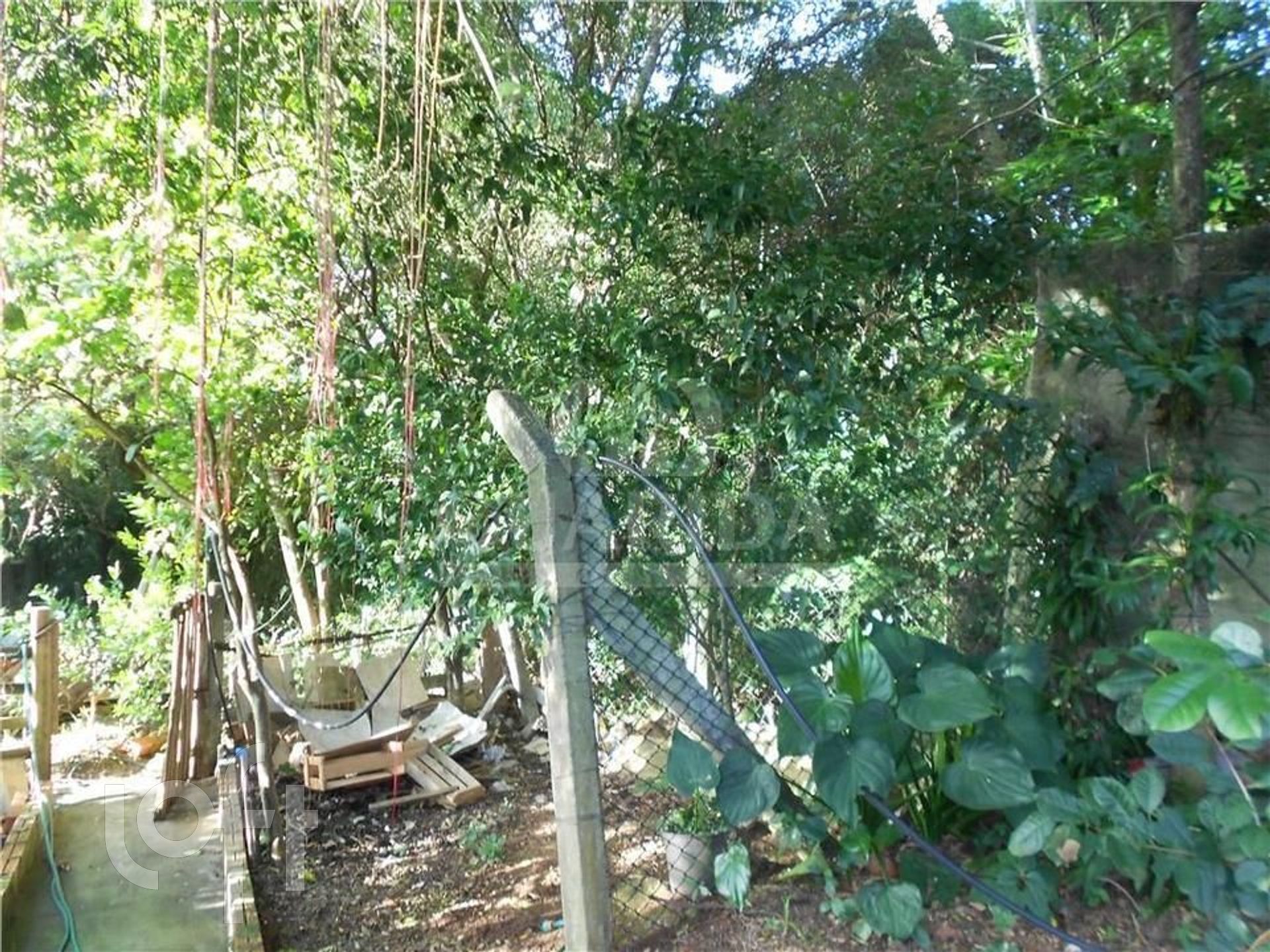 Imagem da propriedade 22