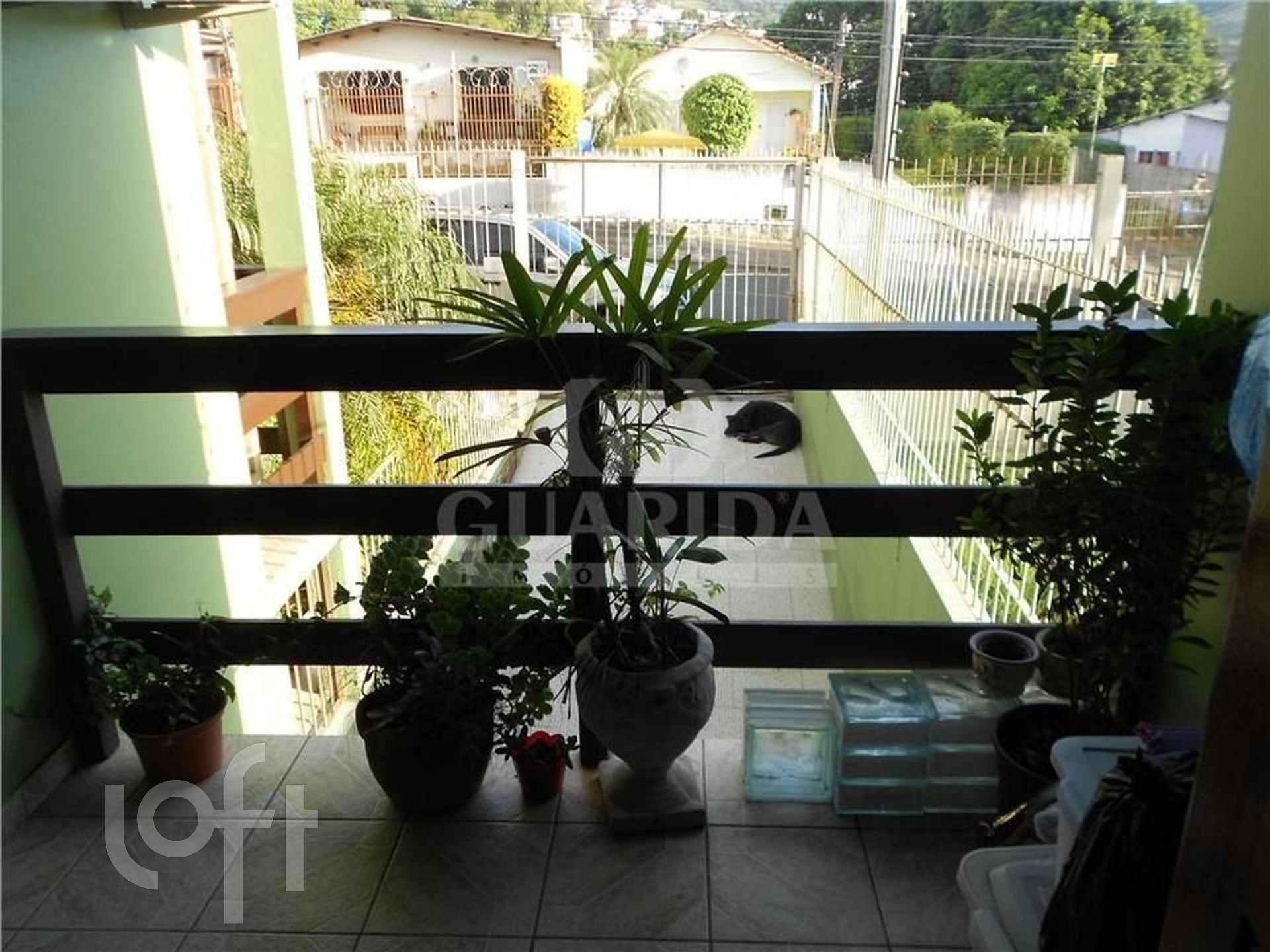 Imagem da propriedade 14