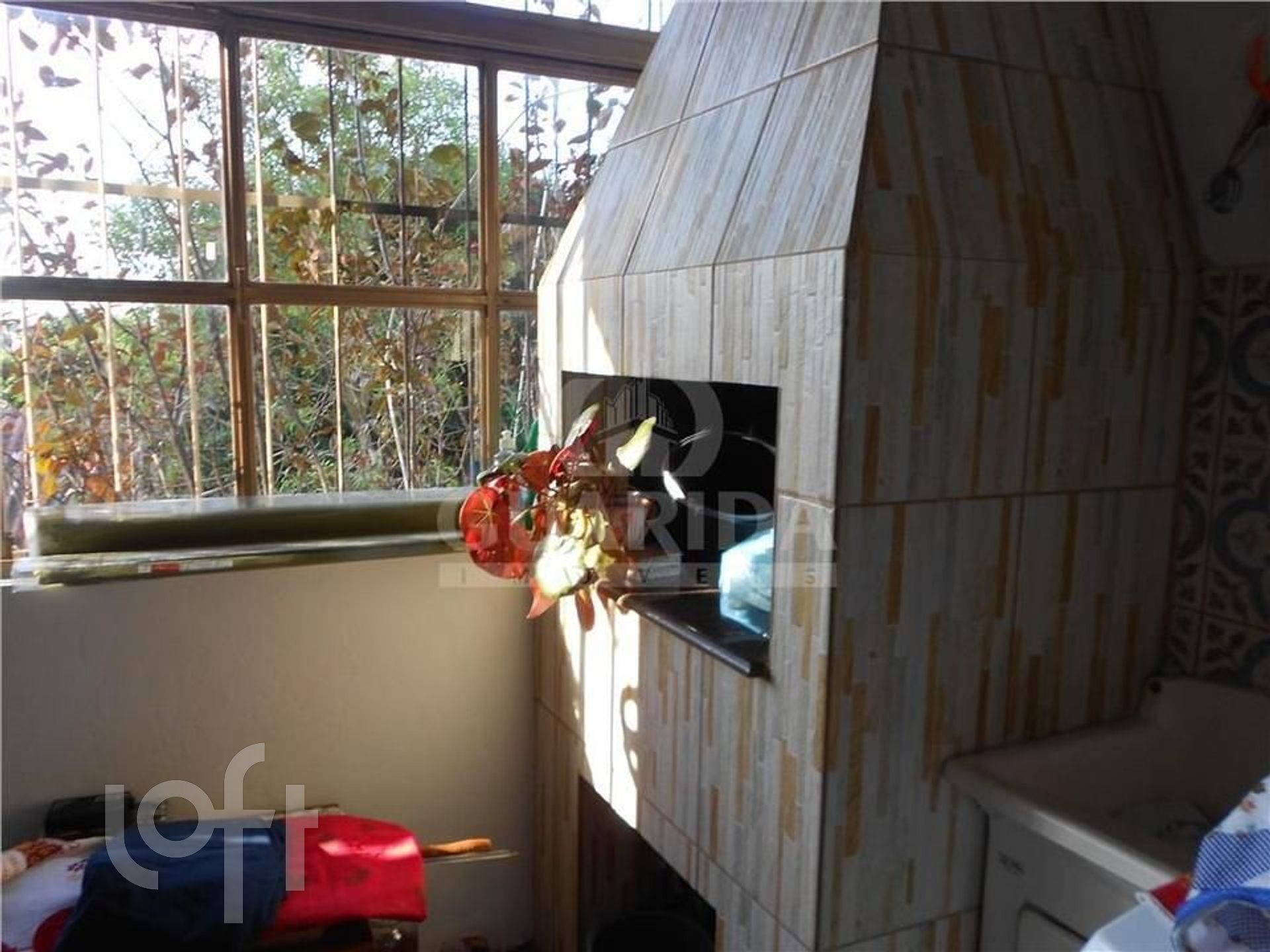 Imagem da propriedade 12