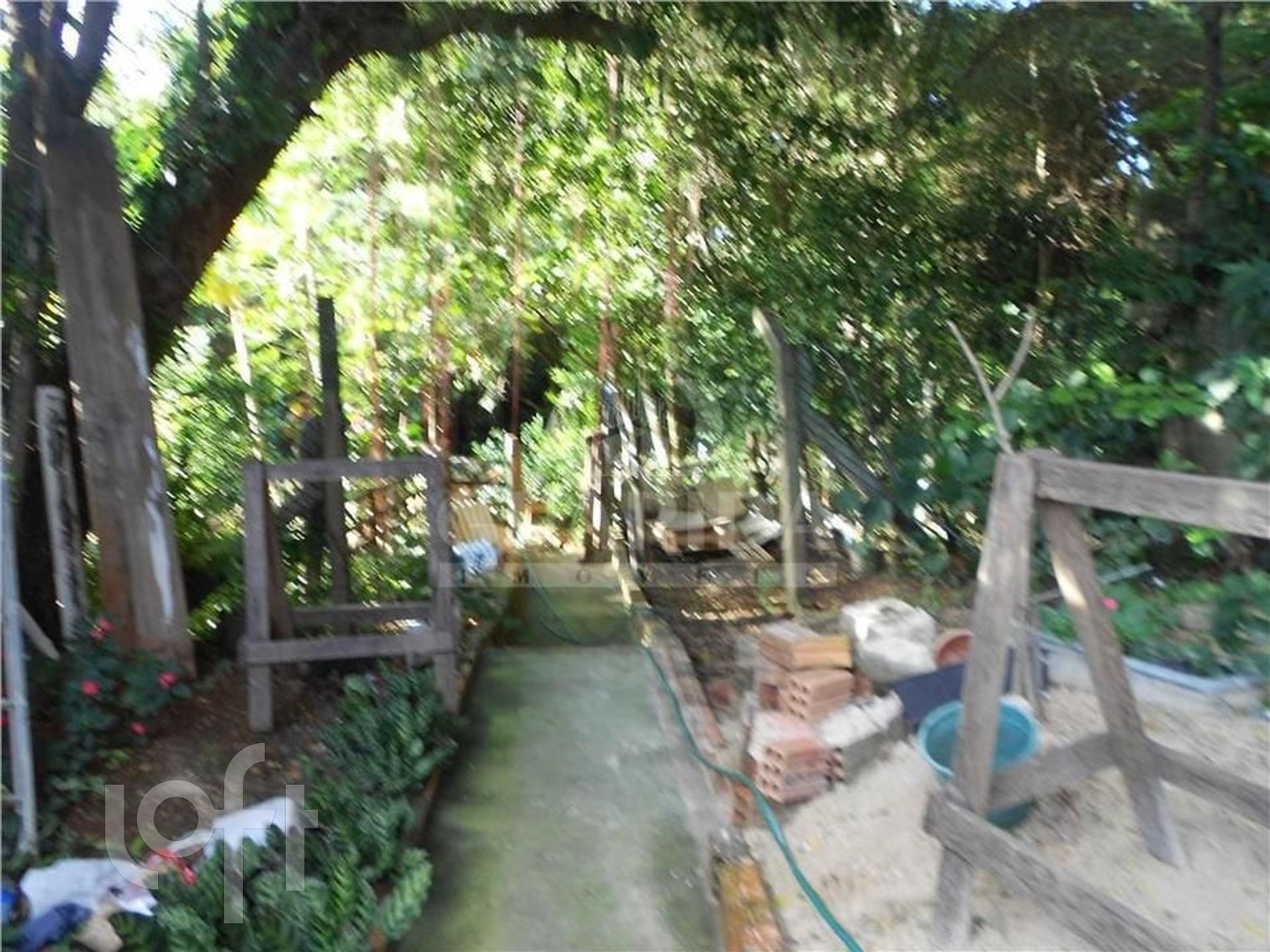 Imagem da propriedade 21